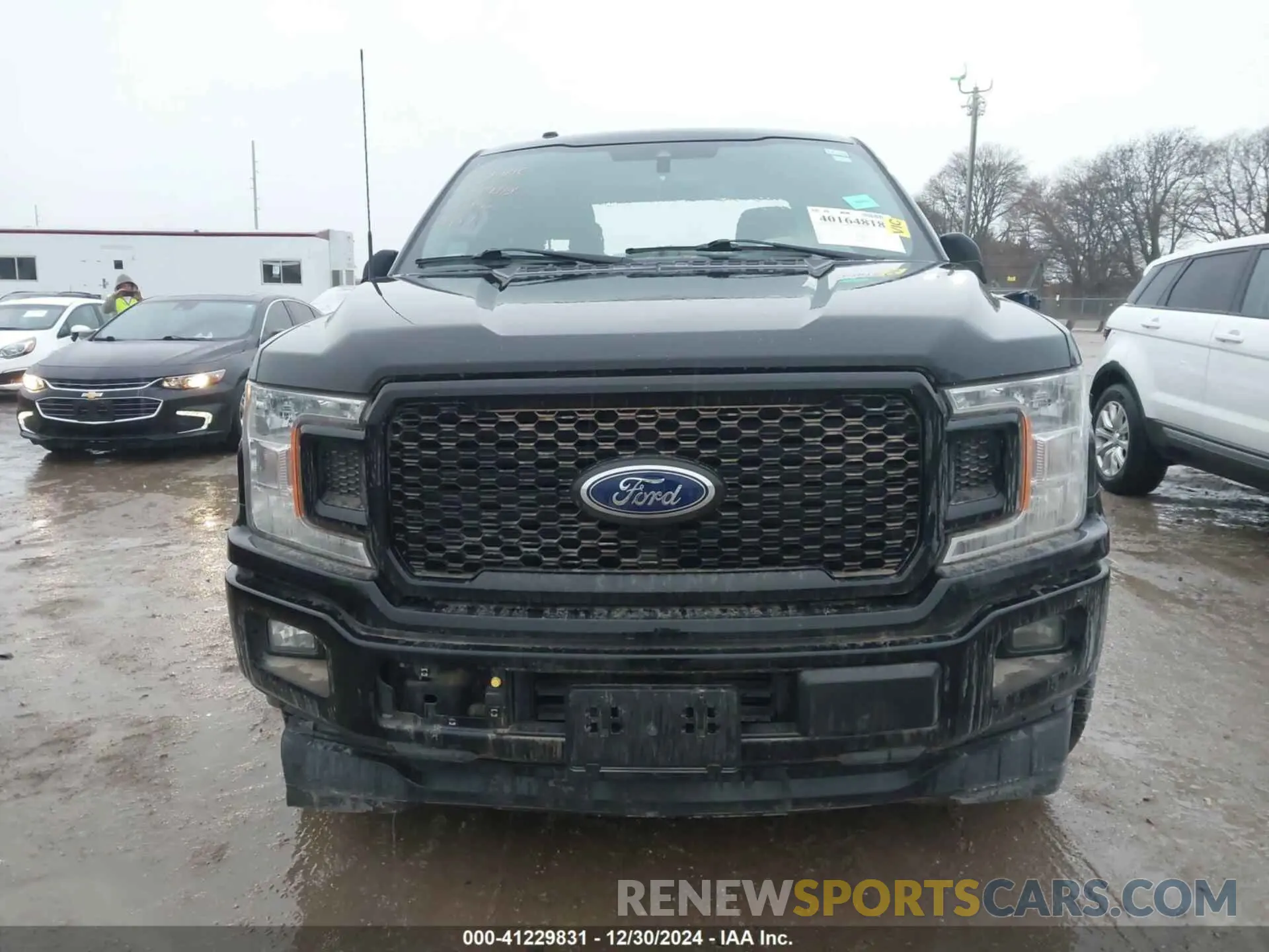 12 Photograph of a damaged car 1FTEW1CPXKKD88784 FORD F-150 2019