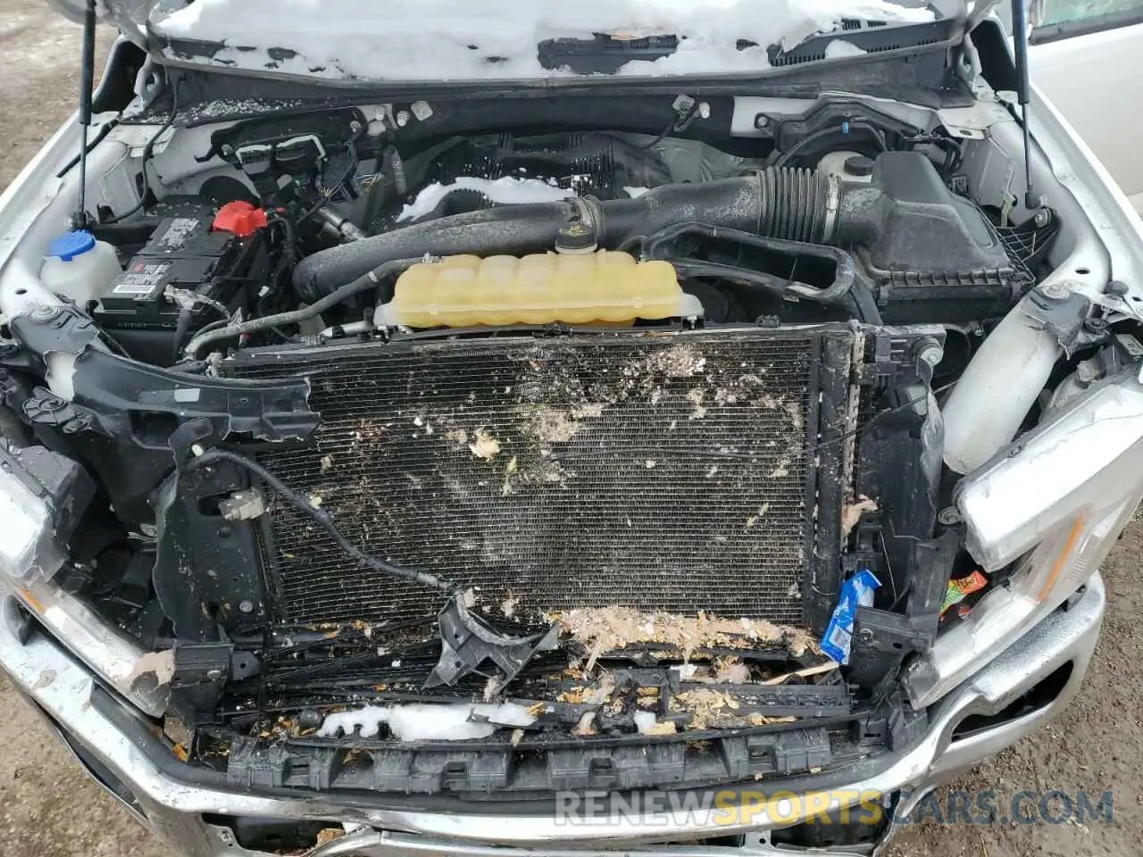 12 Photograph of a damaged car 1FTEW1E46KKC95523 FORD F-150 2019