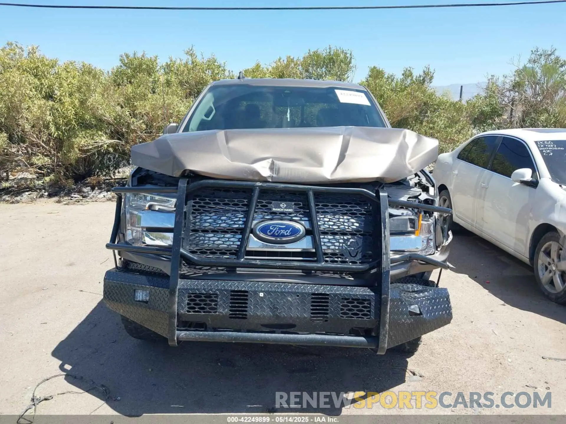 12 Photograph of a damaged car 1FTEW1E49KKD56850 FORD F-150 2019