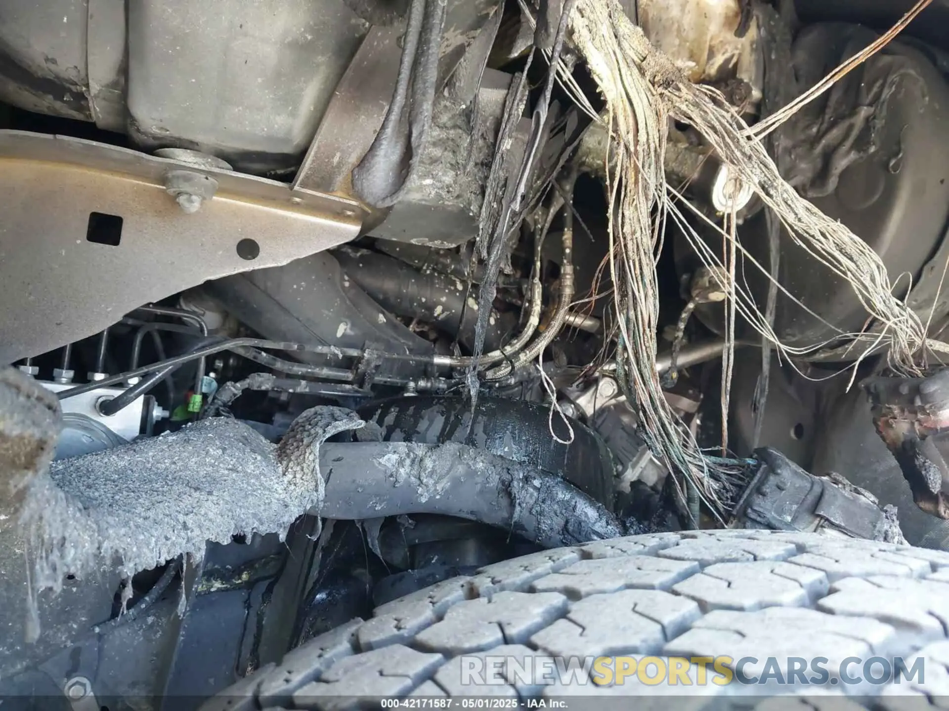13 Фотография поврежденного автомобиля 1FTEW1E4XKKF30179 FORD F-150 2019