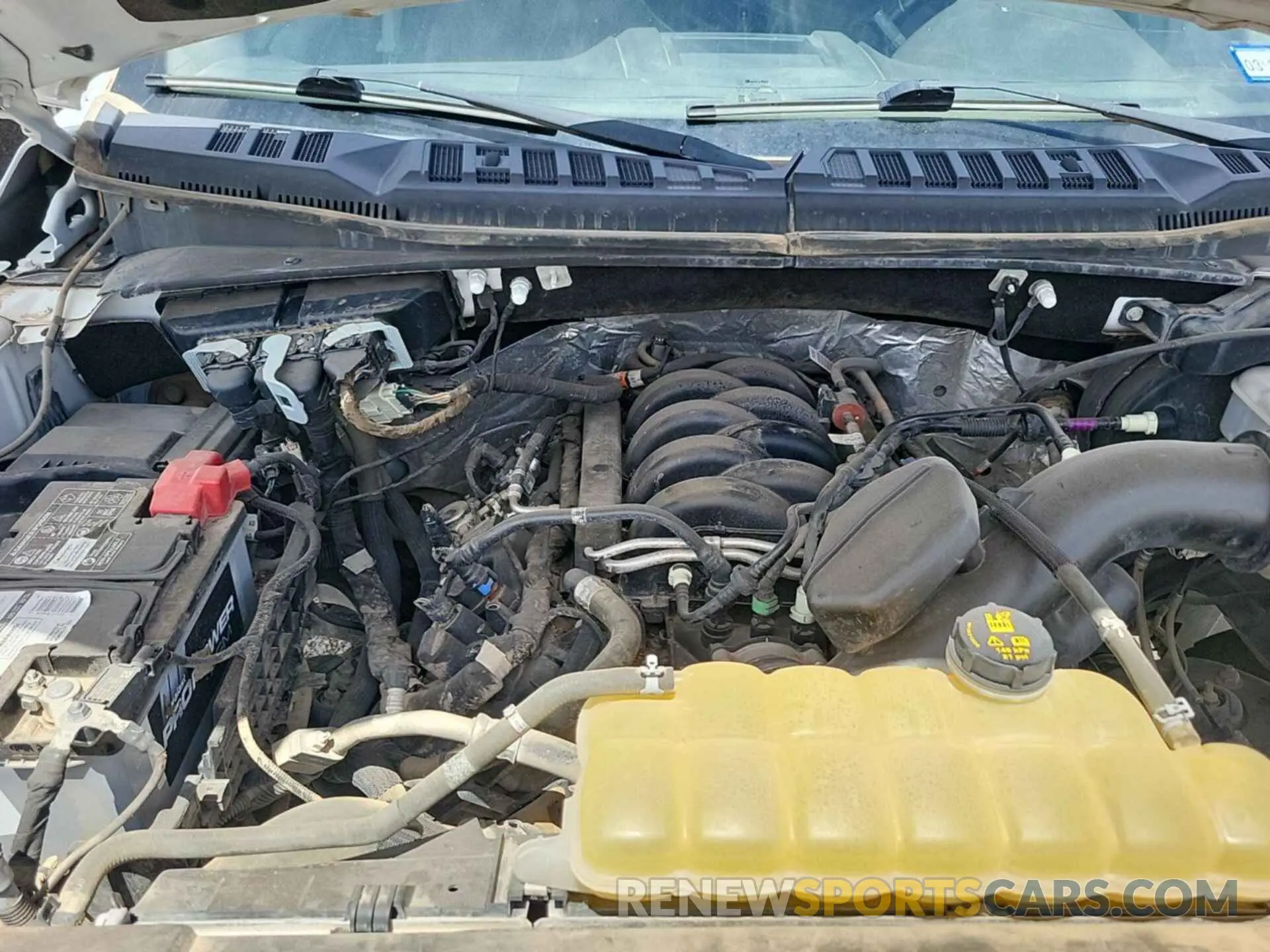 13 Photograph of a damaged car 1FTEW1E51KKD51103 FORD F-150 2019