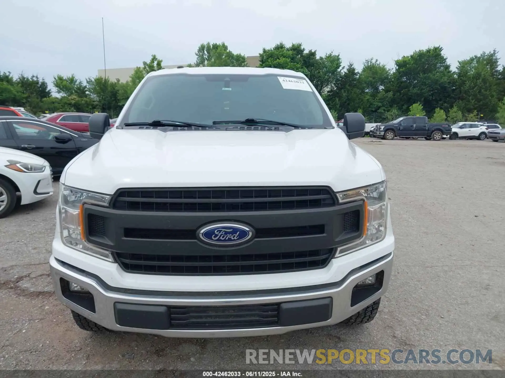 12 Photograph of a damaged car 1FTEW1E52KKD63597 FORD F-150 2019