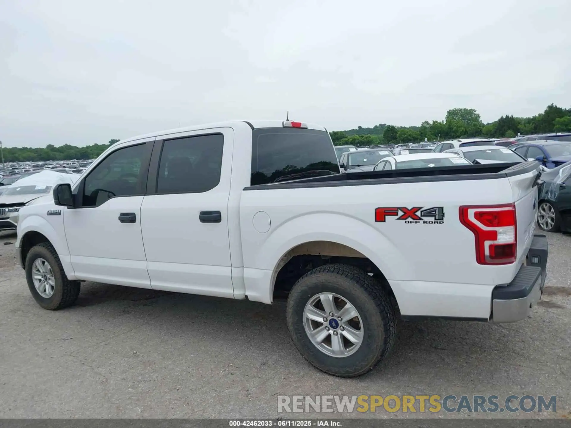 14 Photograph of a damaged car 1FTEW1E52KKD63597 FORD F-150 2019