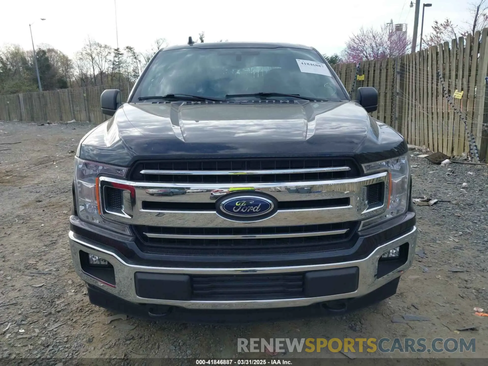 12 Photograph of a damaged car 1FTEW1E53KFA20399 FORD F-150 2019
