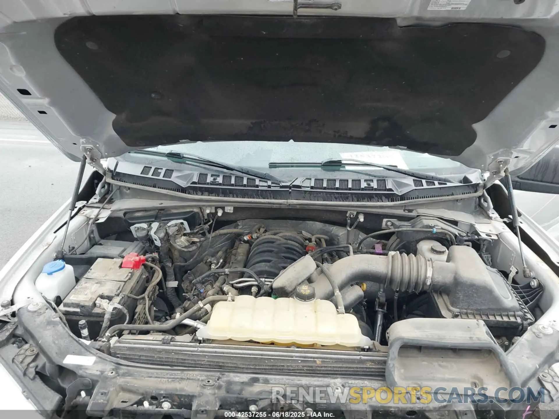 10 Photograph of a damaged car 1FTEW1E55KKE36039 FORD F-150 2019