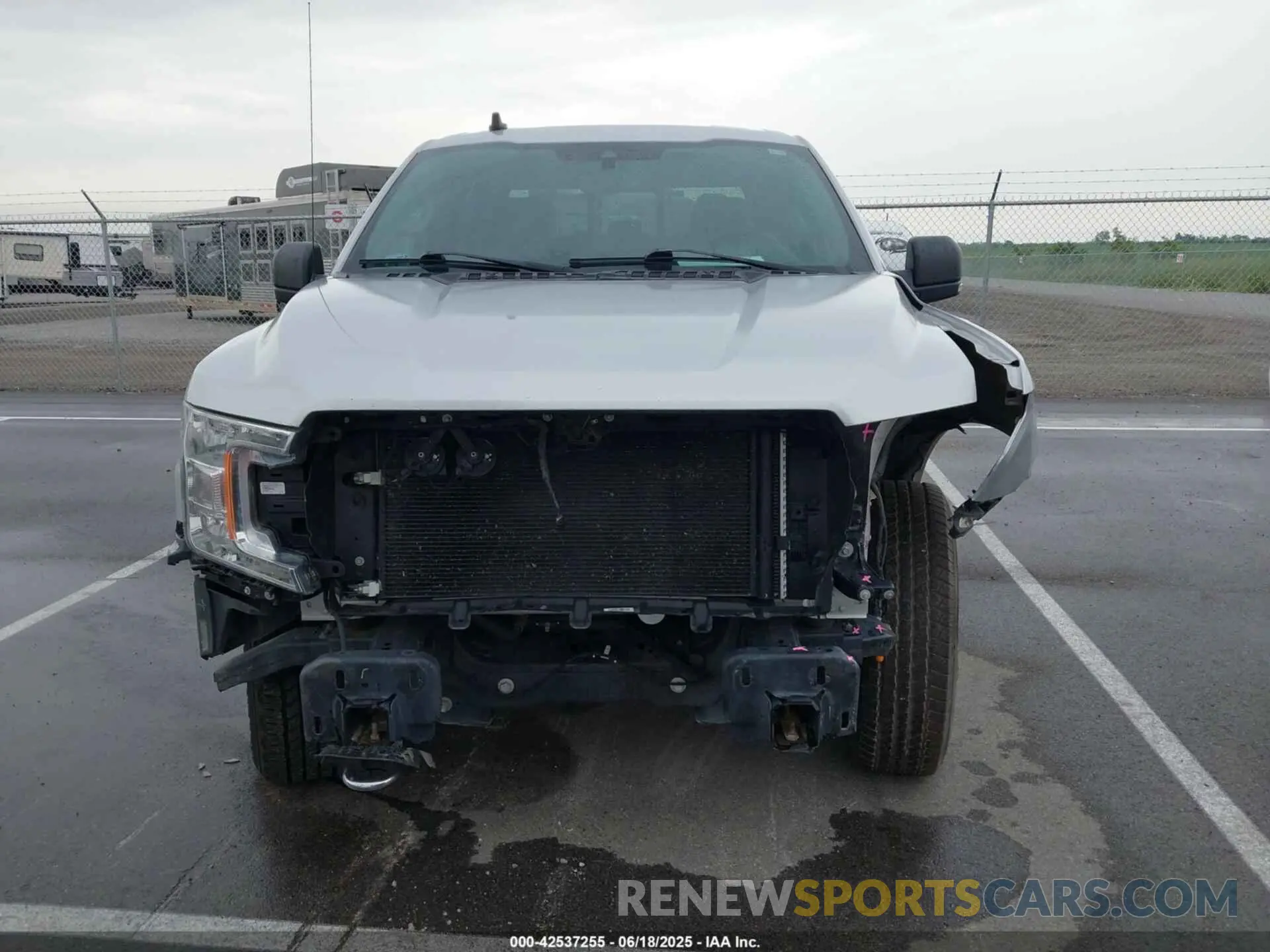 12 Photograph of a damaged car 1FTEW1E55KKE36039 FORD F-150 2019