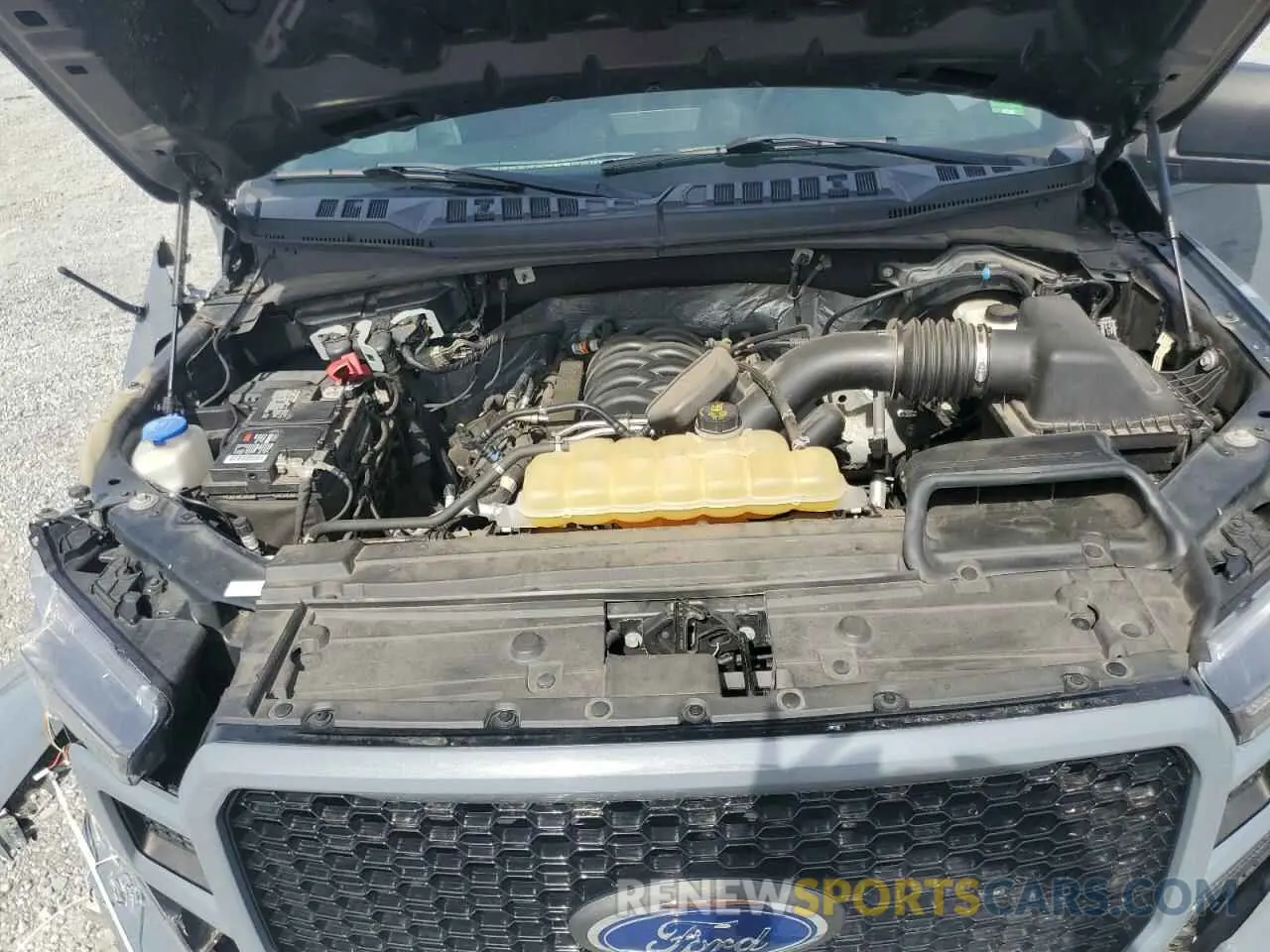 12 Фотография поврежденного автомобиля 1FTEW1E57KKD04433 FORD F-150 2019