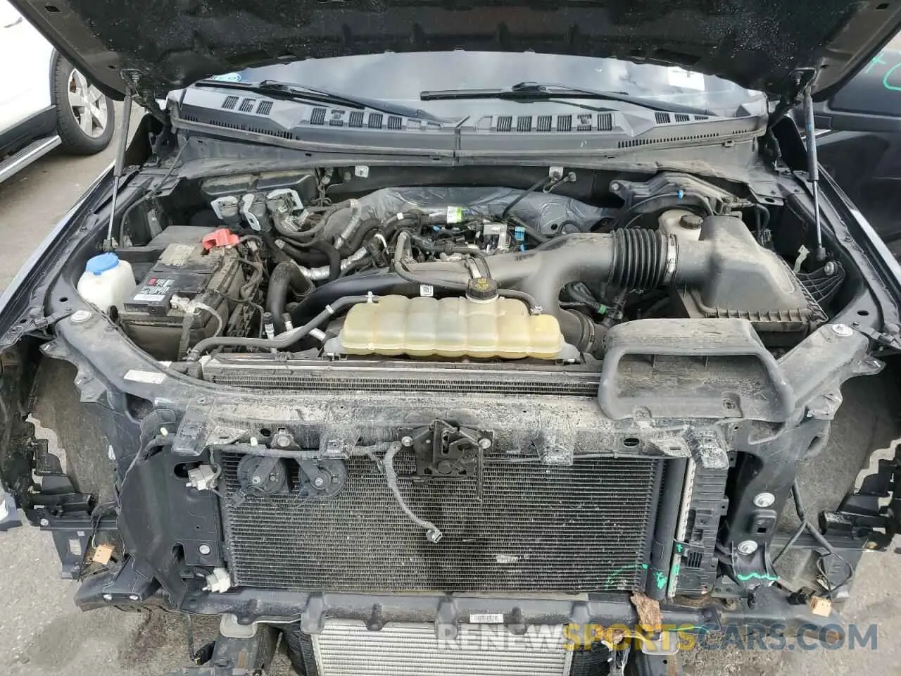 11 Фотография поврежденного автомобиля 1FTEW1EP0KKD47884 FORD F-150 2019