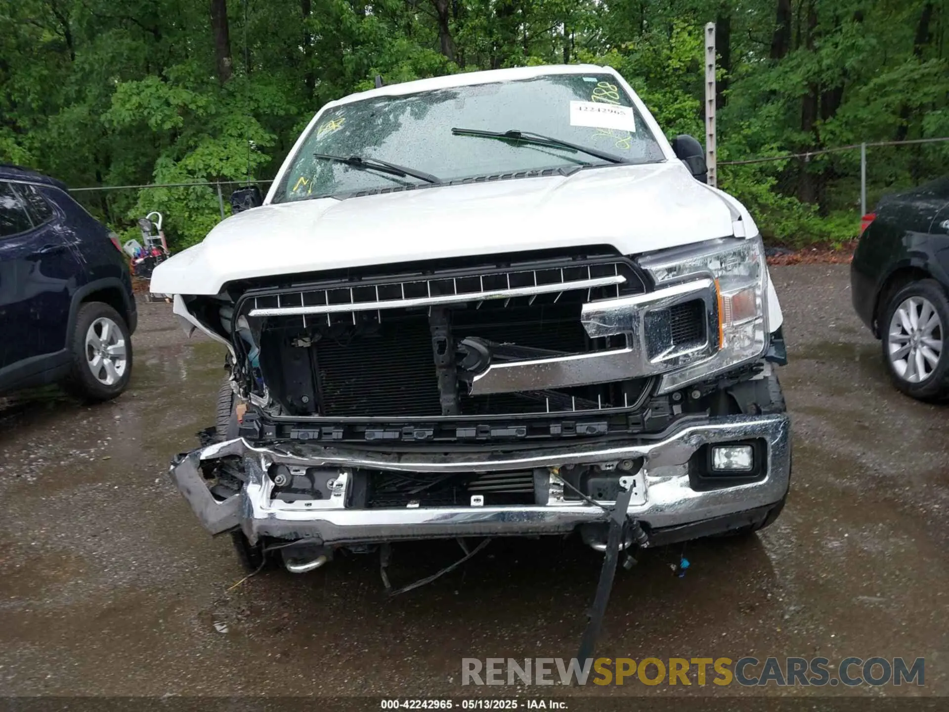12 Photograph of a damaged car 1FTEW1EP1KFA98133 FORD F-150 2019