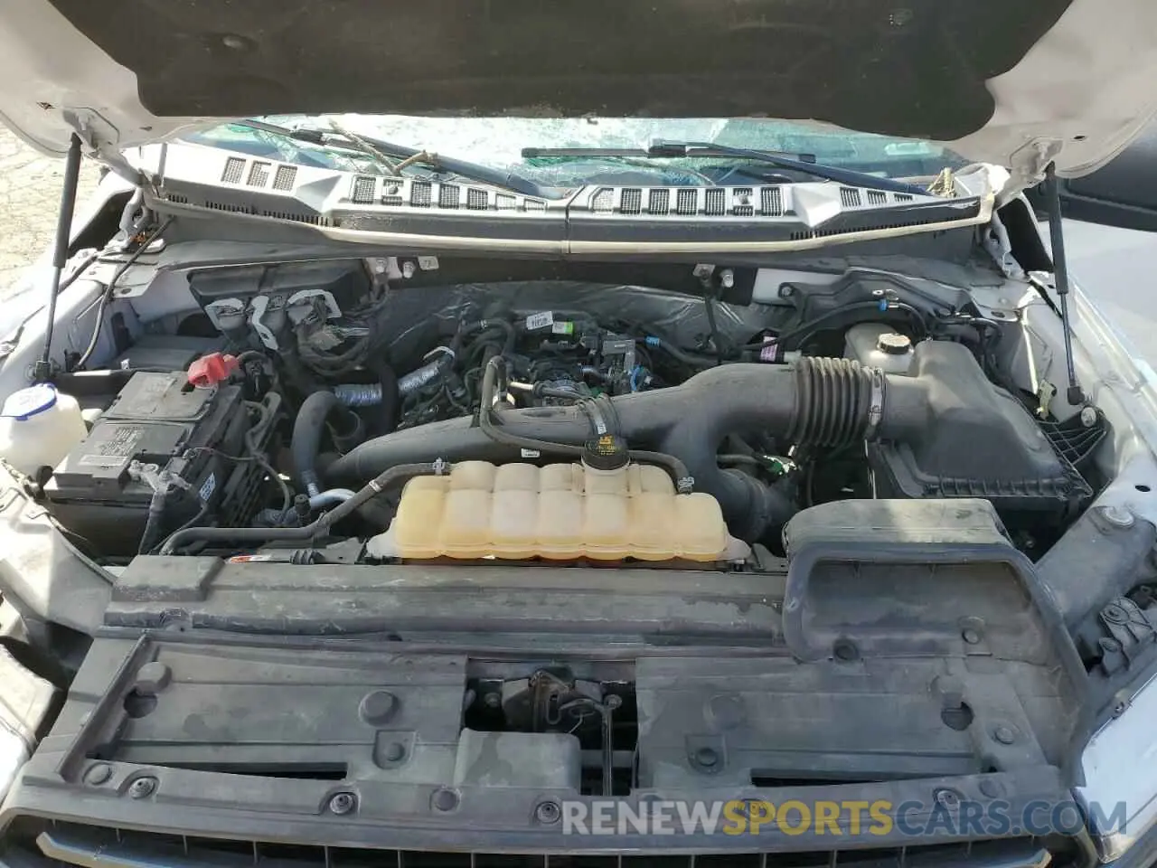 11 Photograph of a damaged car 1FTEW1EP5KFA60288 FORD F-150 2019