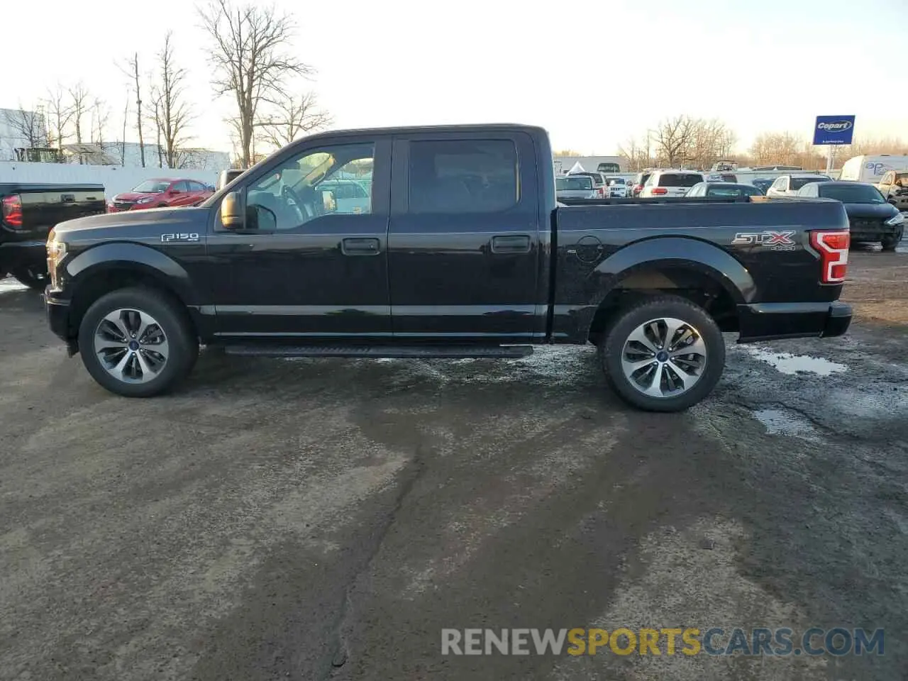 12 Photograph of a damaged car 1FTEW1EP5KFC28415 FORD F-150 2019