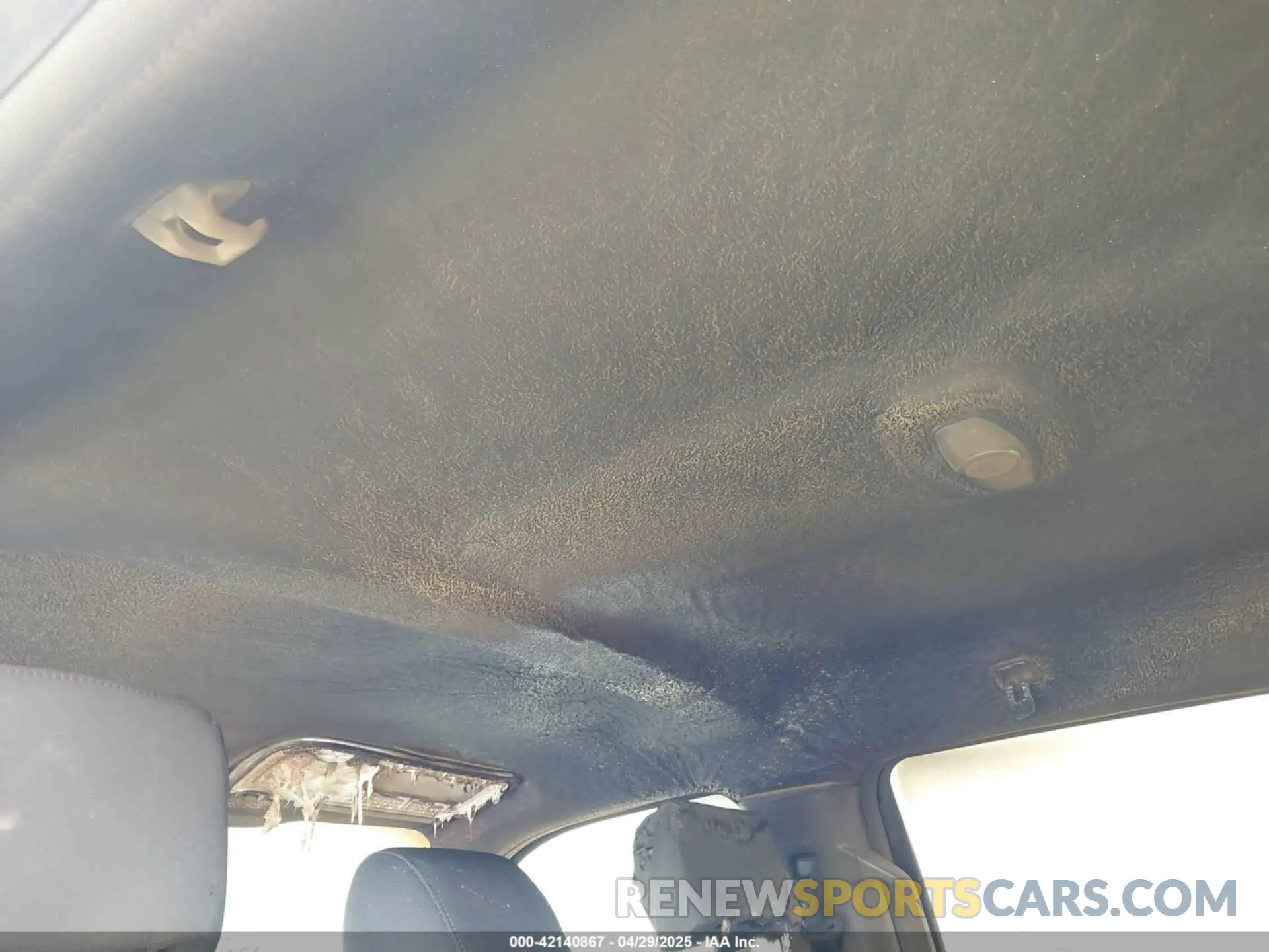 12 Photograph of a damaged car 1FTEW1EP6KFC62251 FORD F-150 2019