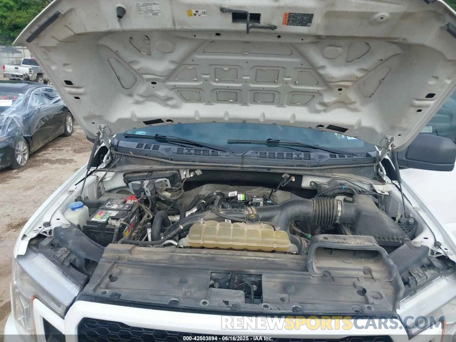 10 Фотография поврежденного автомобиля 1FTEW1EP6KKD03324 FORD F-150 2019