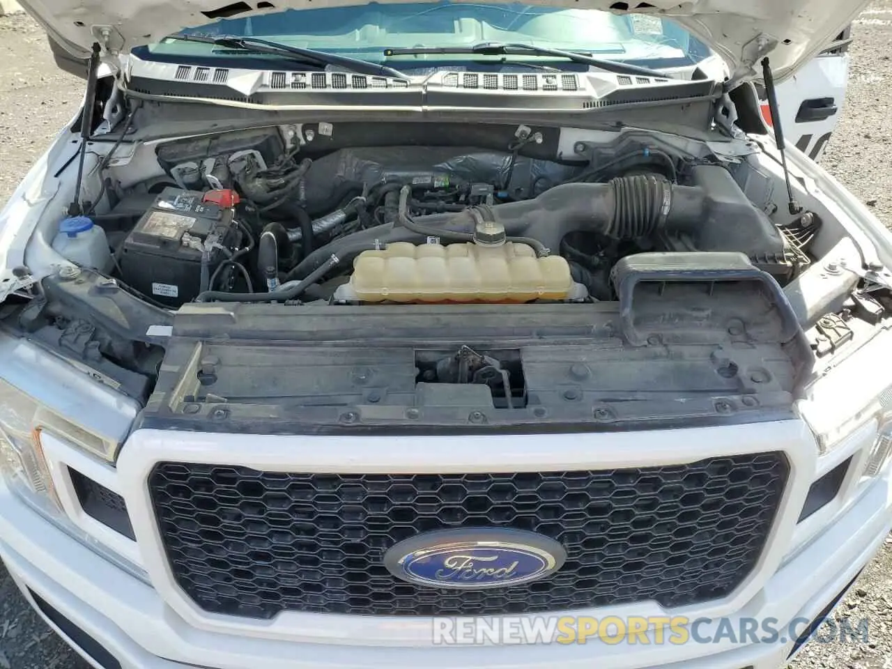11 Фотография поврежденного автомобиля 1FTEW1EP7KKE96101 FORD F-150 2019