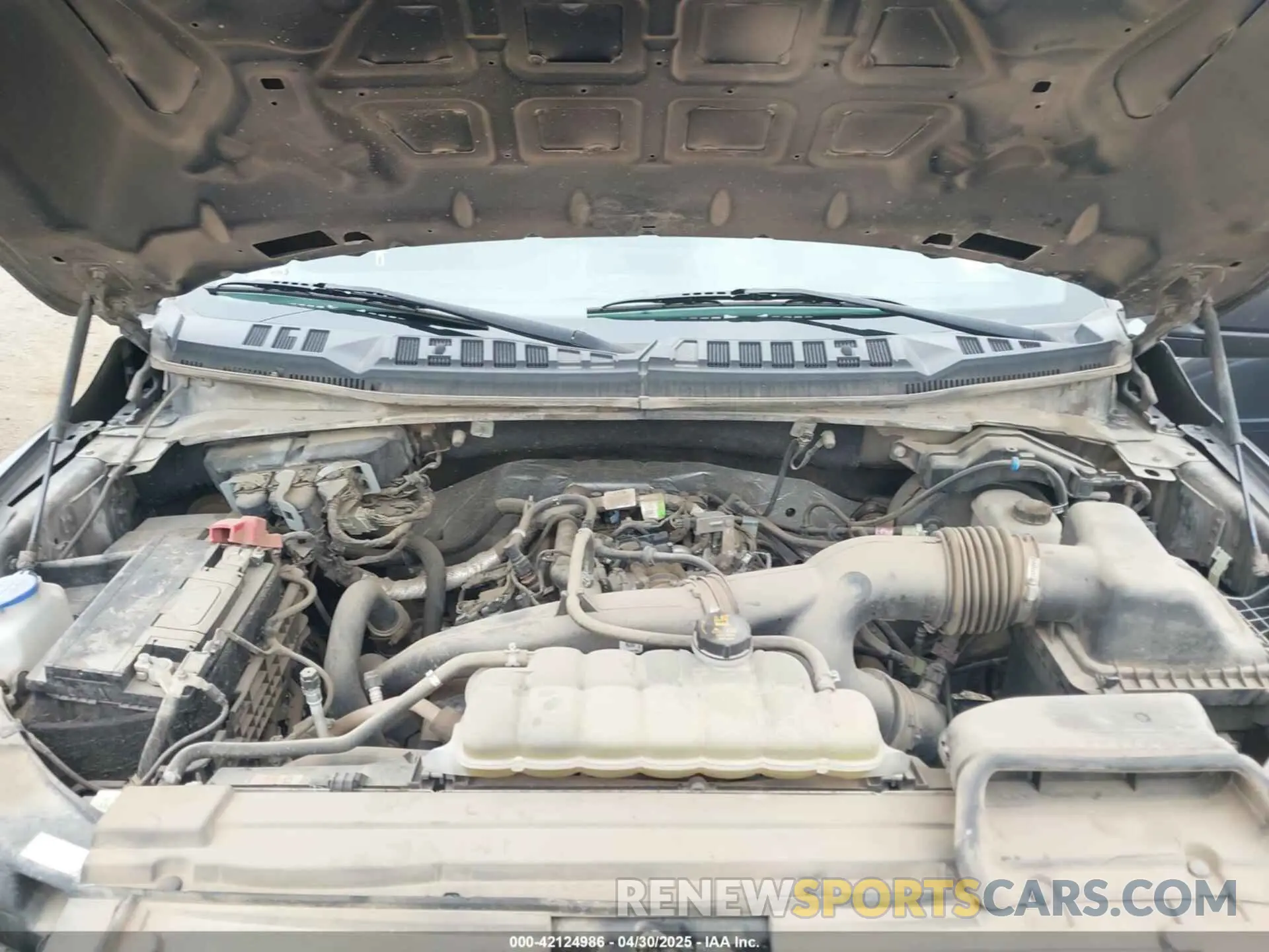 10 Photograph of a damaged car 1FTEW1EP8KKE80702 FORD F-150 2019
