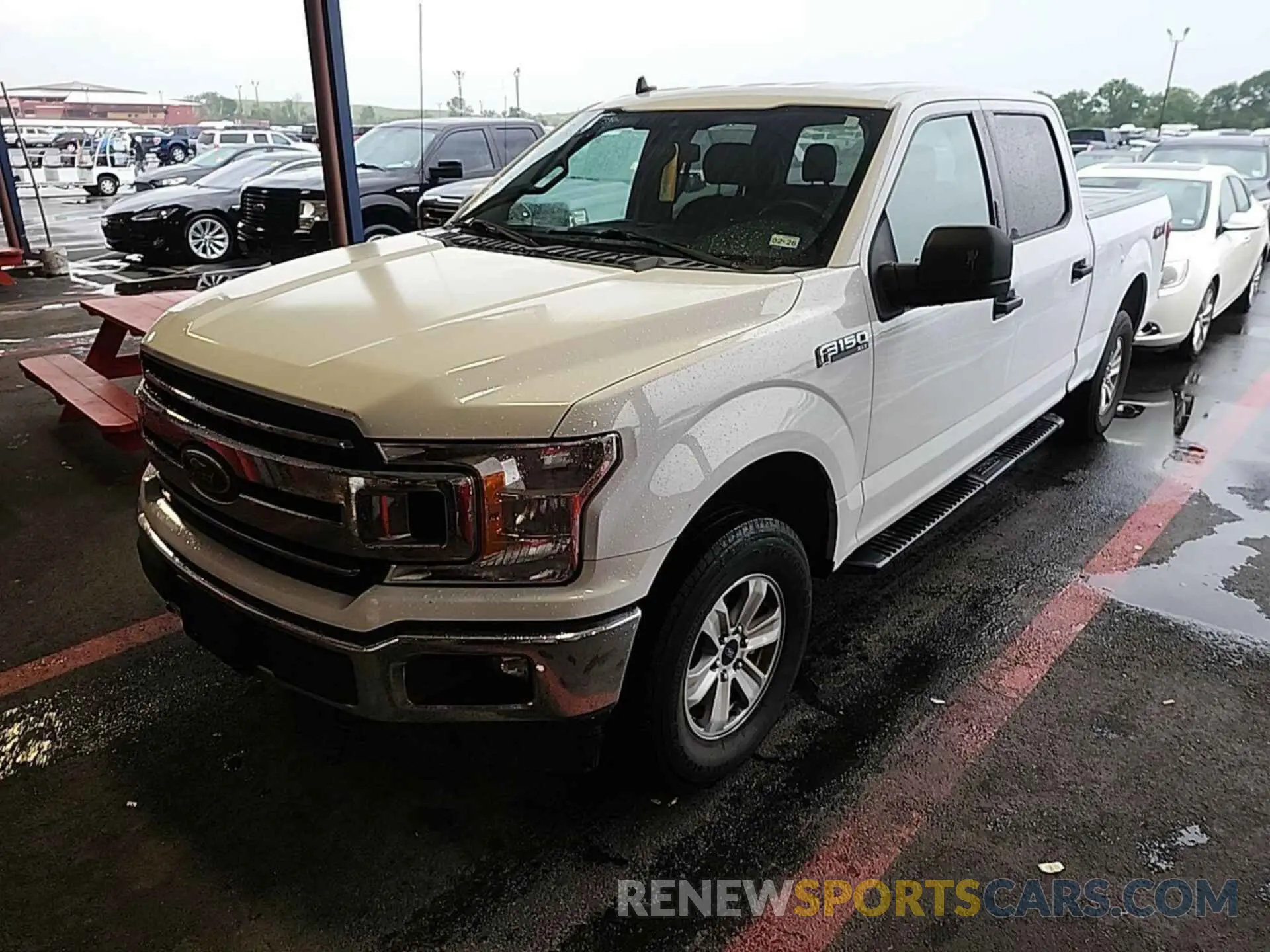 12 Photograph of a damaged car 1FTFW1E54KKC92441 FORD F-150 2019