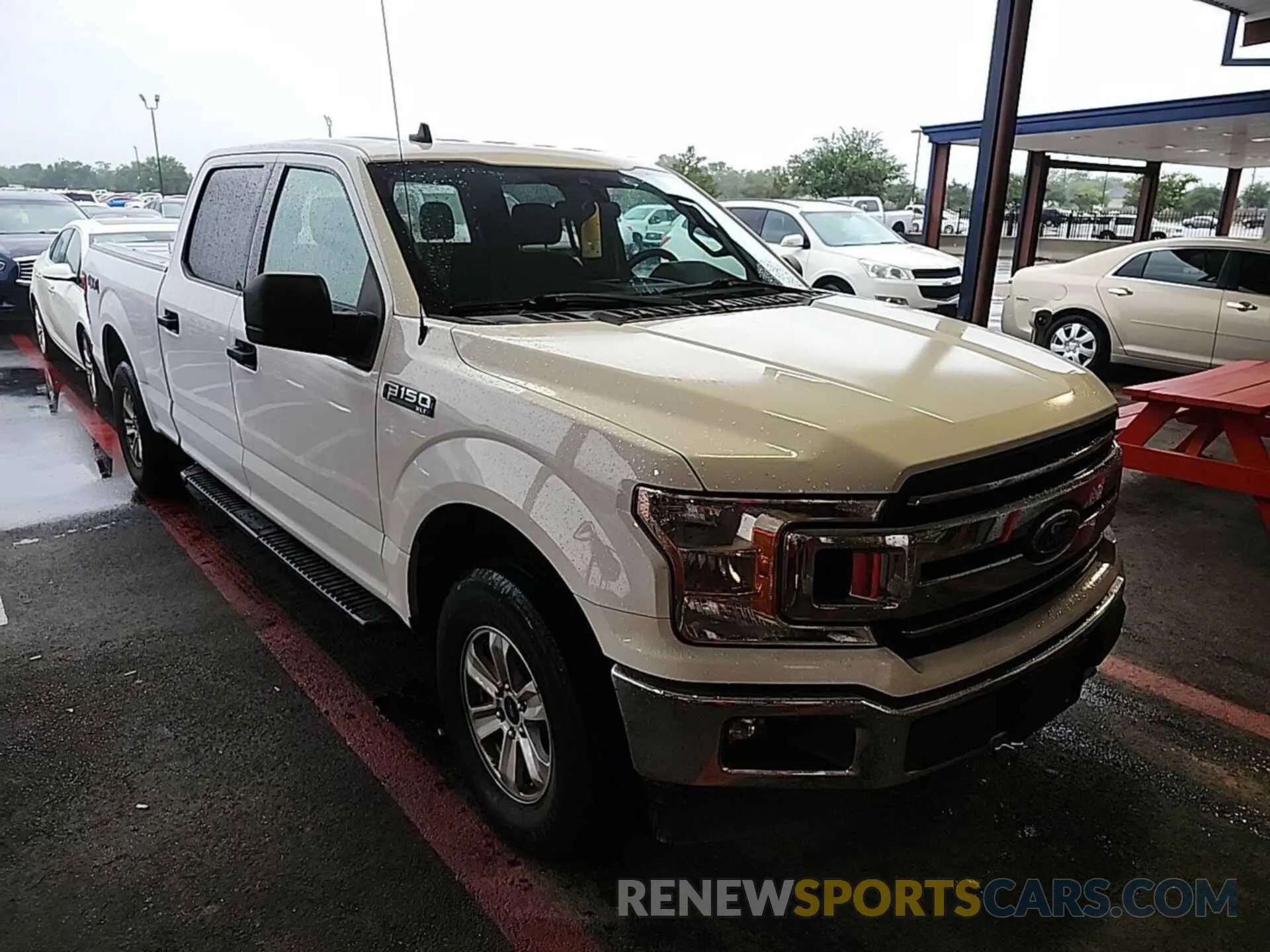 13 Photograph of a damaged car 1FTFW1E54KKC92441 FORD F-150 2019