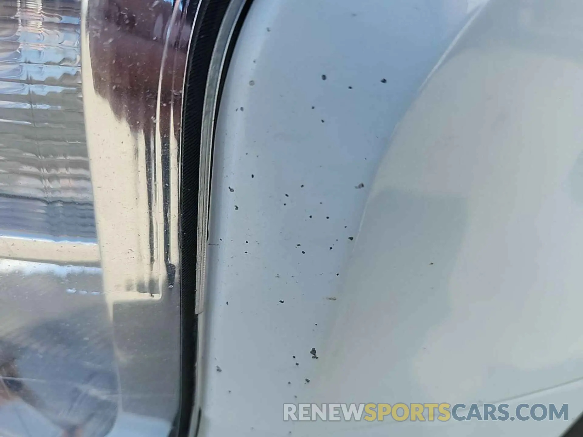 5 Photograph of a damaged car 1FTFW1E54KKD56851 FORD F-150 2019