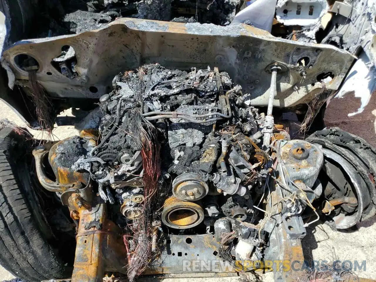 11 Photograph of a damaged car 1FTFW1E55KKD08968 FORD F-150 2019