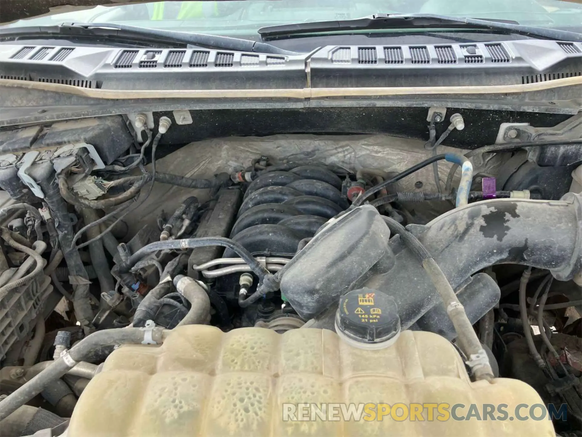 23 Photograph of a damaged car 1FTFW1E59KKD28009 FORD F-150 2019