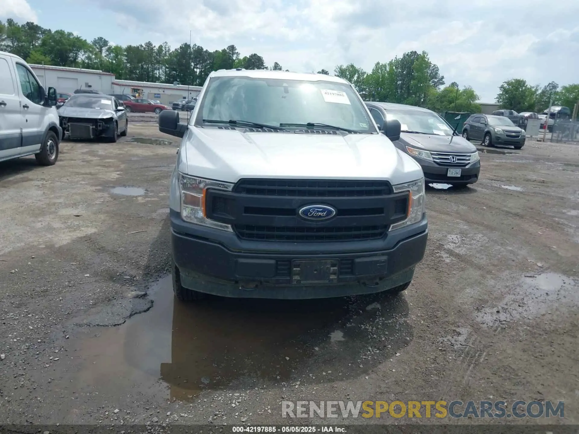 12 Photograph of a damaged car 1FTFX1E50KFB36564 FORD F-150 2019