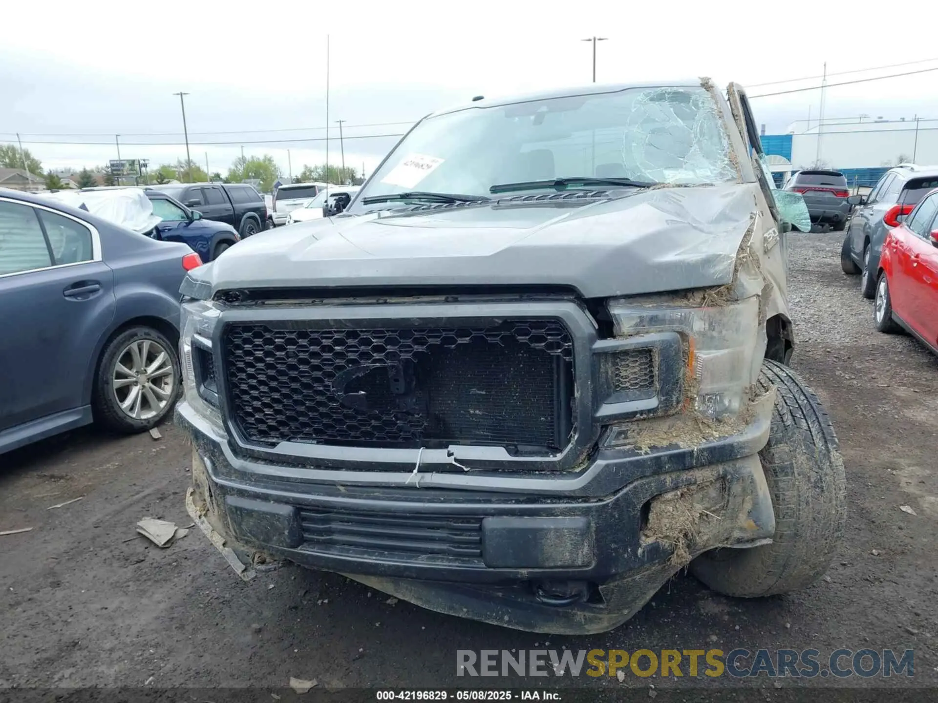 12 Photograph of a damaged car 1FTFX1E52KKE30877 FORD F-150 2019