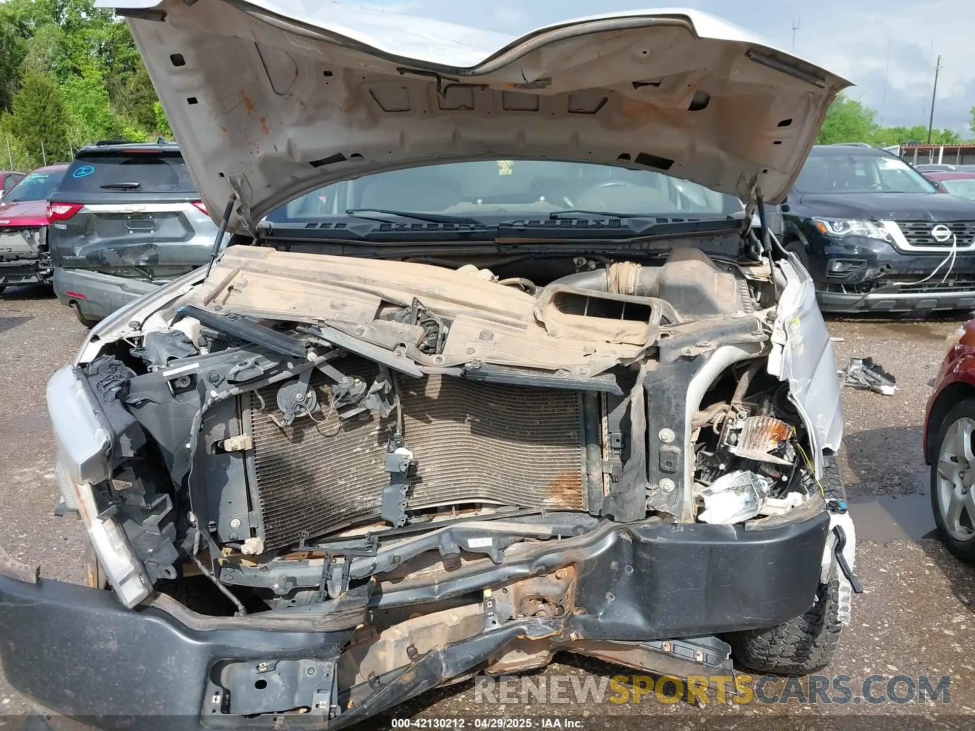 12 Photograph of a damaged car 1FTMF1C54KKD52096 FORD F-150 2019
