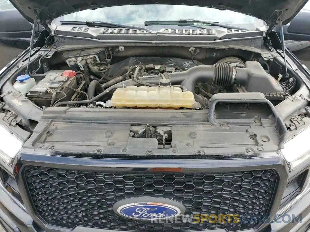 12 Фотография поврежденного автомобиля 1FTEW1CP2LFB15879 FORD F-150 2020