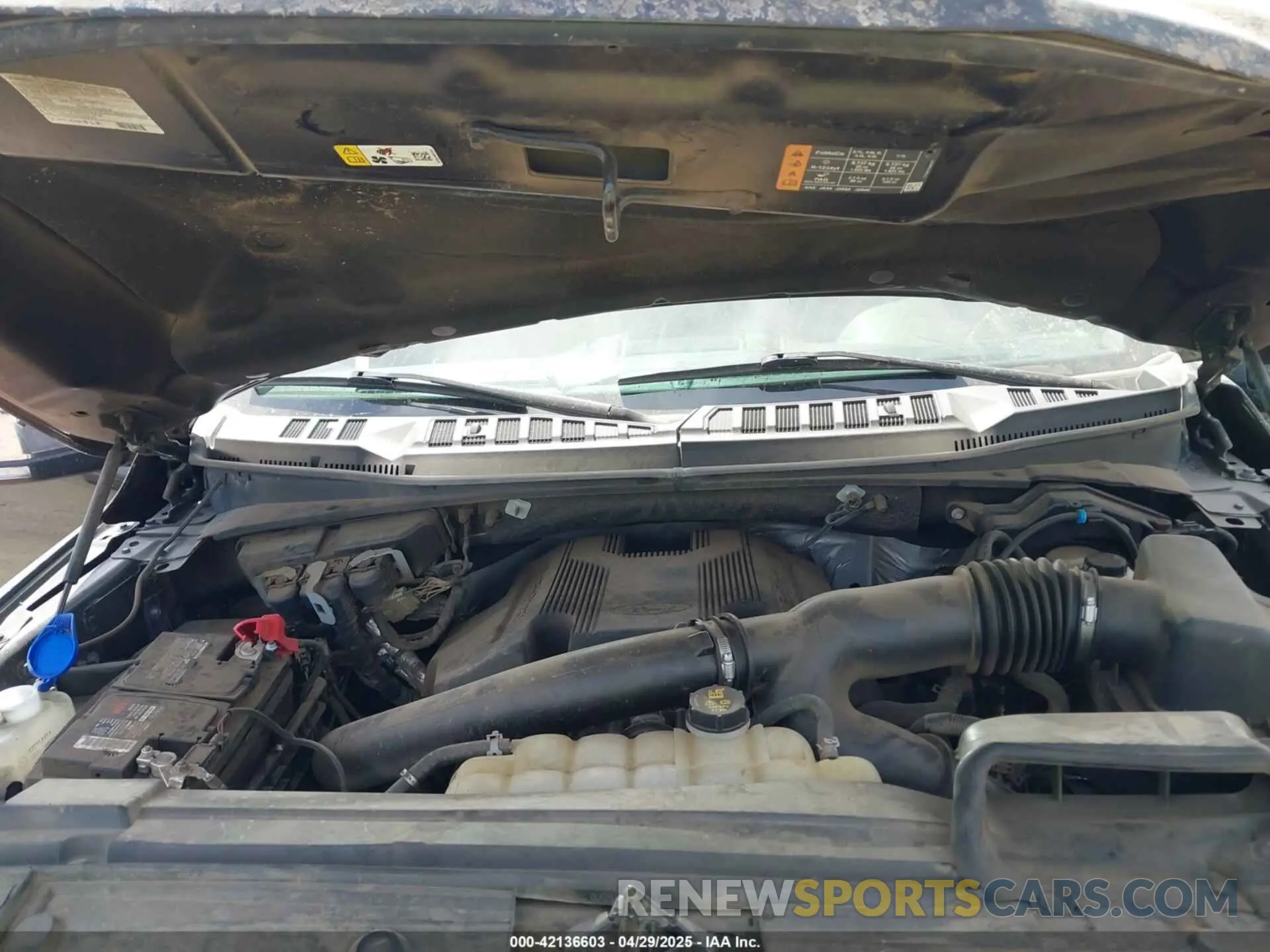 10 Photograph of a damaged car 1FTEW1E43LFA80224 FORD F-150 2020