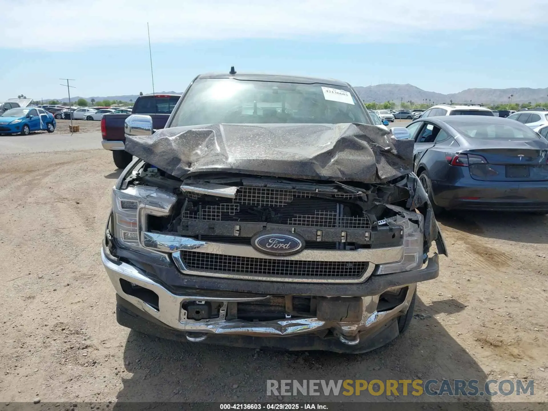 12 Photograph of a damaged car 1FTEW1E43LFA80224 FORD F-150 2020