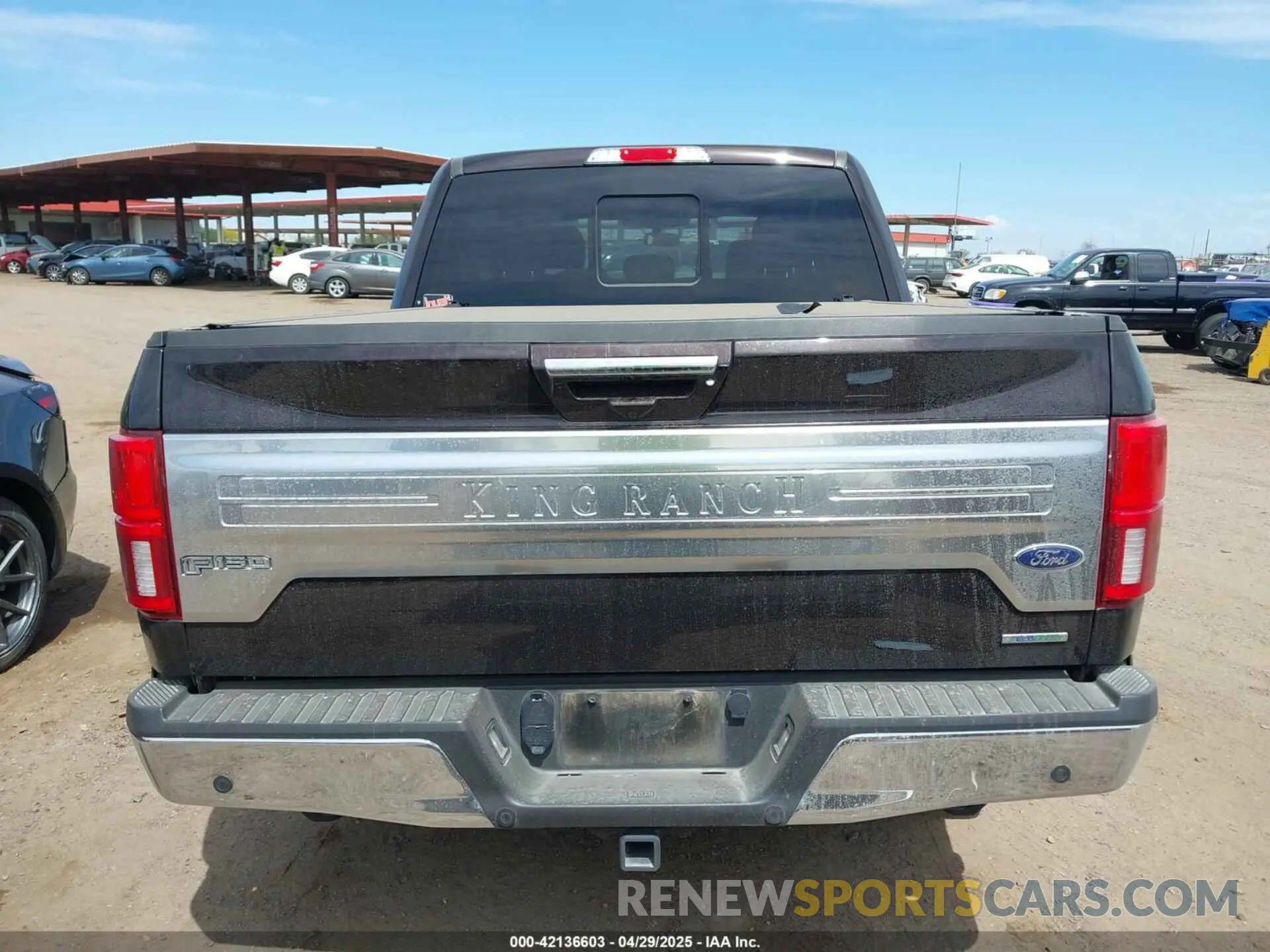 16 Photograph of a damaged car 1FTEW1E43LFA80224 FORD F-150 2020