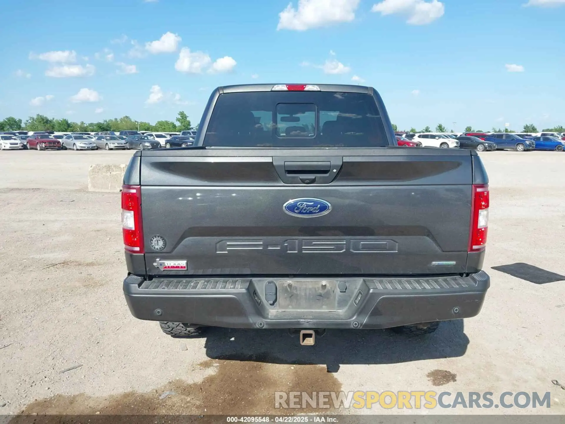 16 Фотография поврежденного автомобиля 1FTEW1E43LKE34606 FORD F-150 2020