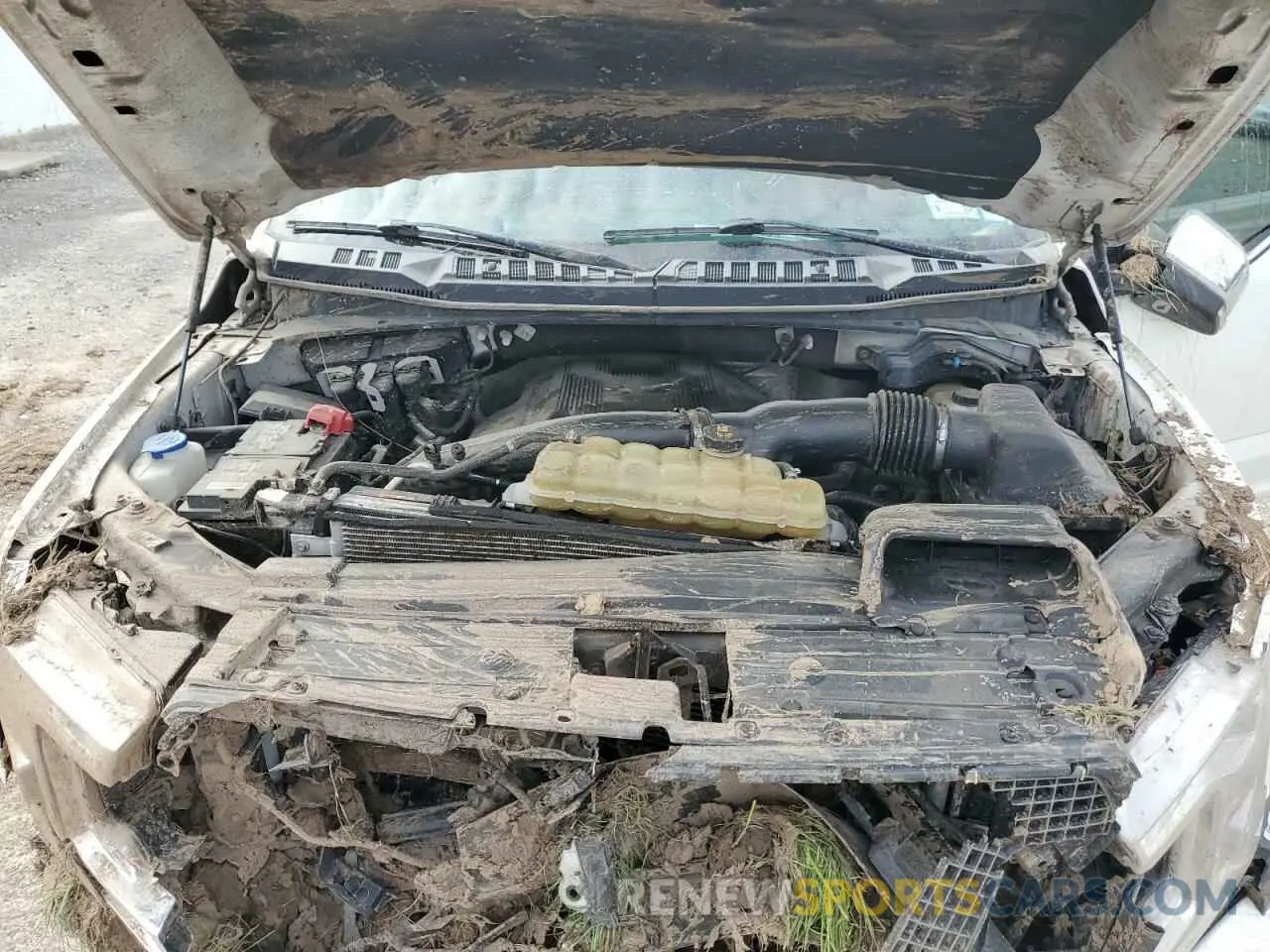 11 Photograph of a damaged car 1FTEW1E44LFA74576 FORD F-150 2020