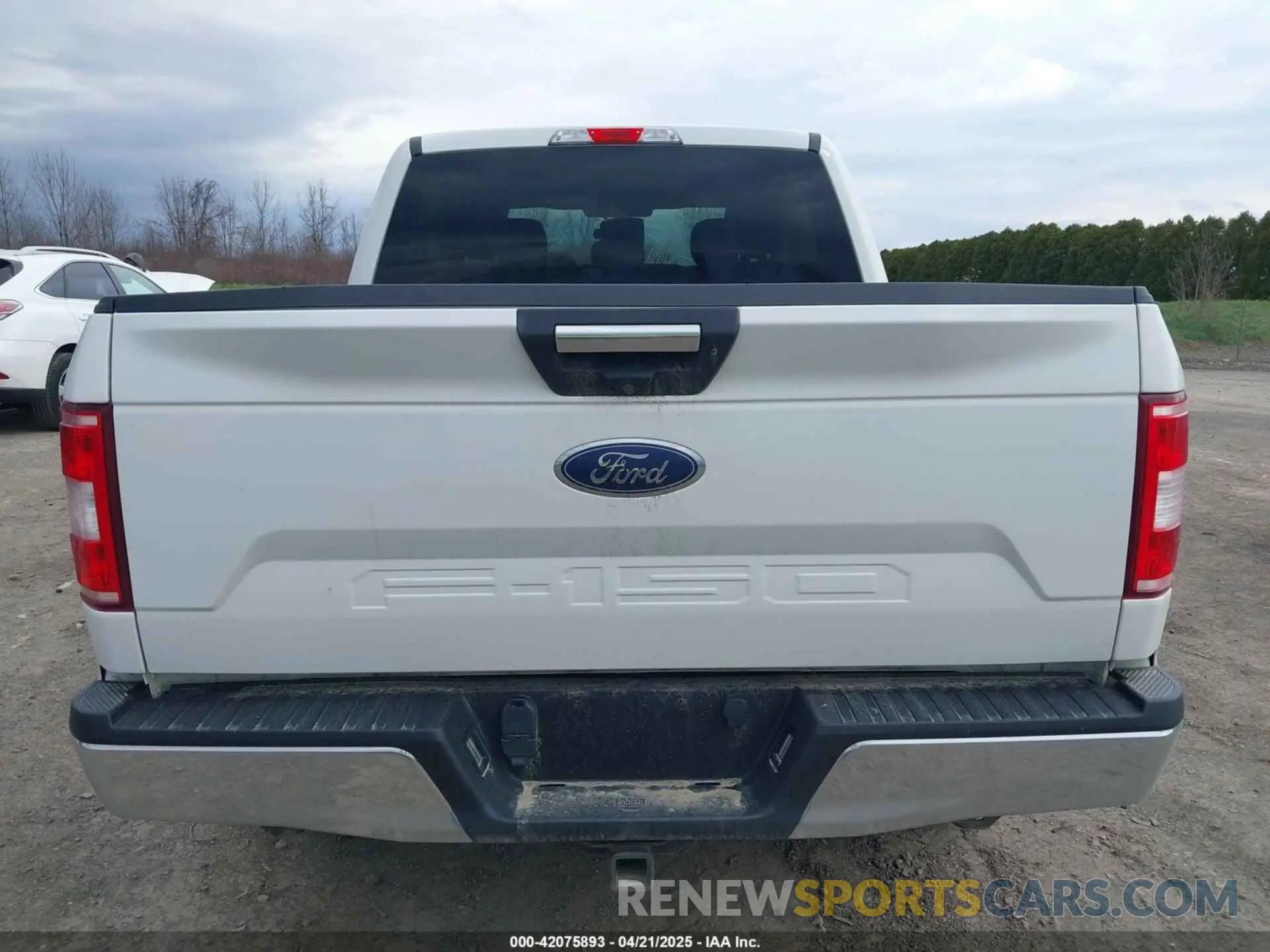 17 Photograph of a damaged car 1FTEW1E54LFB01414 FORD F-150 2020