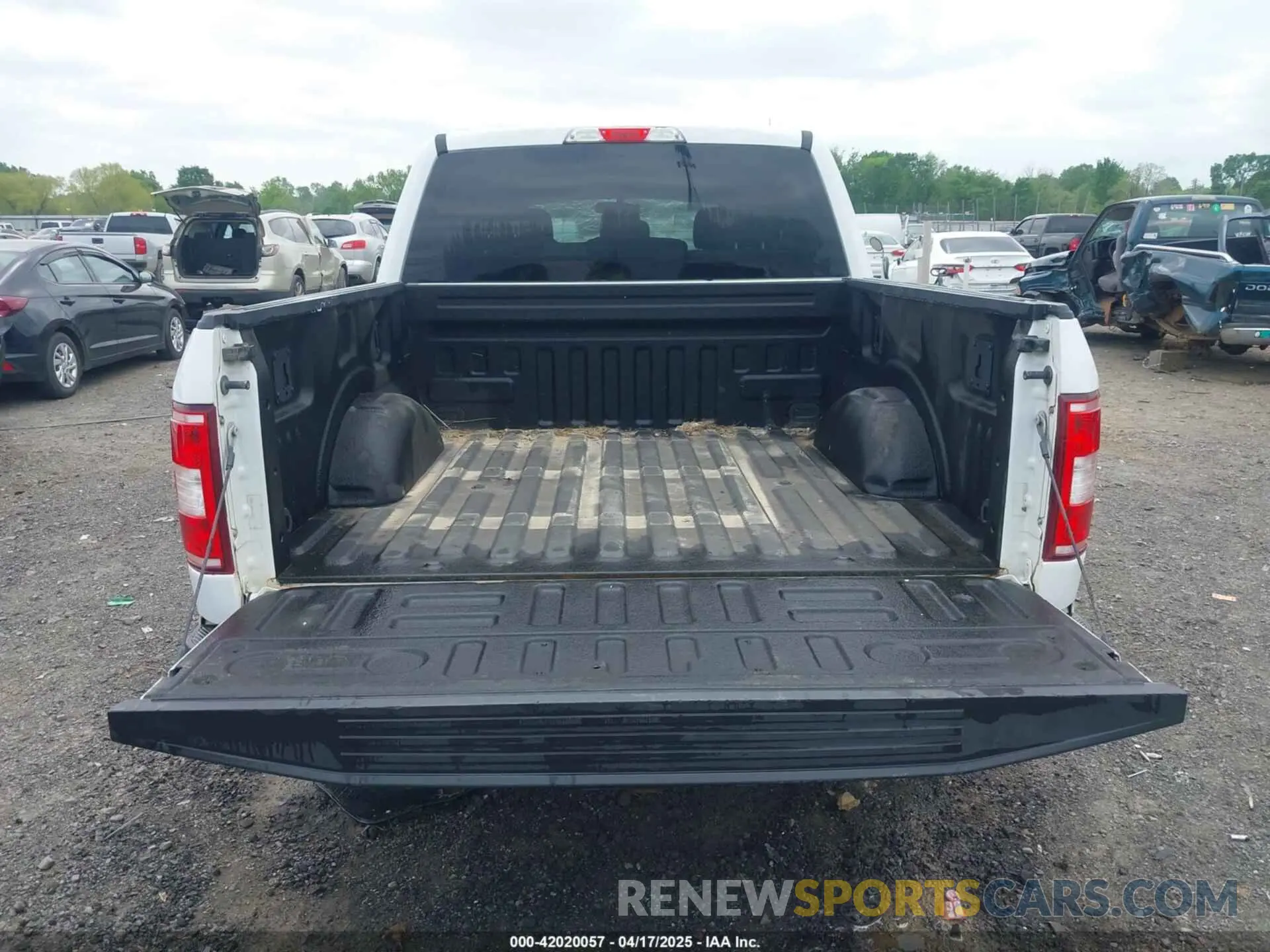 12 Photograph of a damaged car 1FTEW1E56LFA29213 FORD F-150 2020