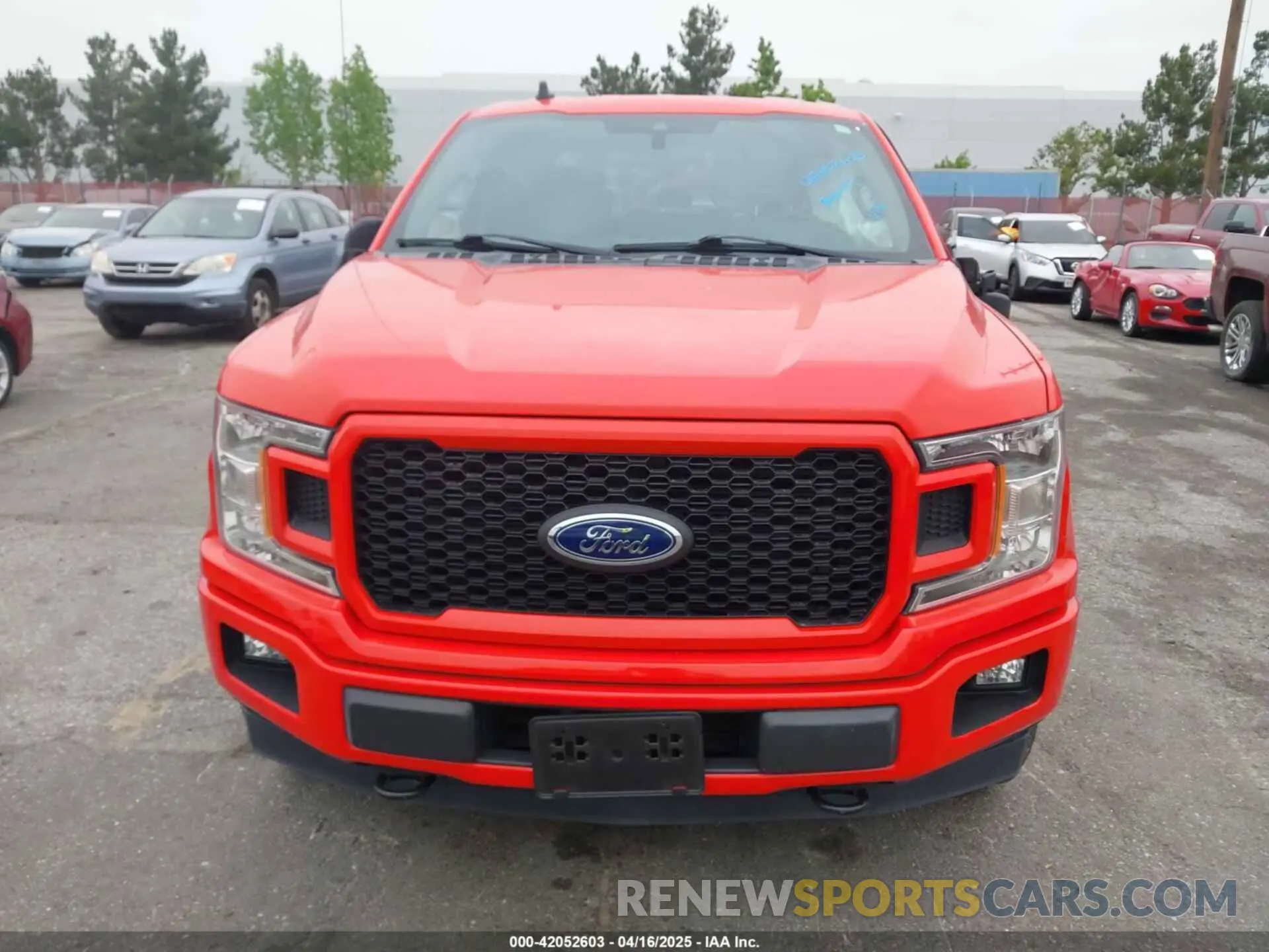 12 Photograph of a damaged car 1FTEW1EP1LFC56374 FORD F-150 2020