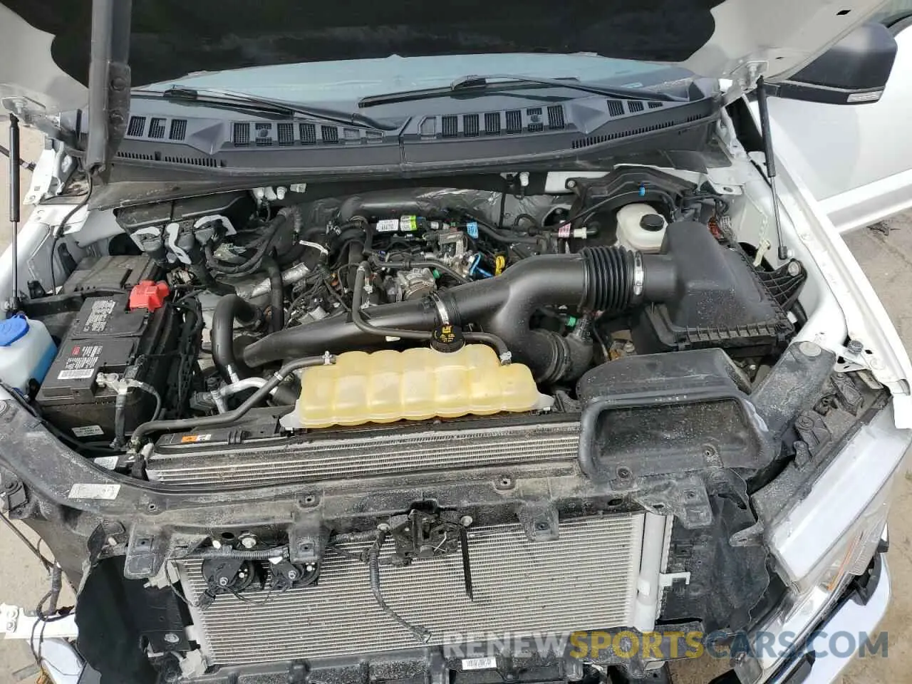 11 Photograph of a damaged car 1FTEW1EP1LKF36366 FORD F-150 2020
