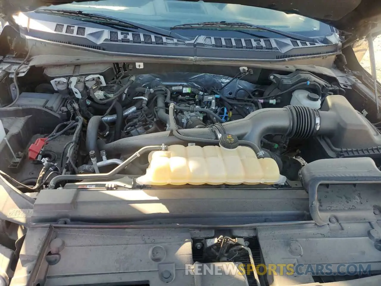 11 Photograph of a damaged car 1FTEW1EP5LKF53395 FORD F-150 2020