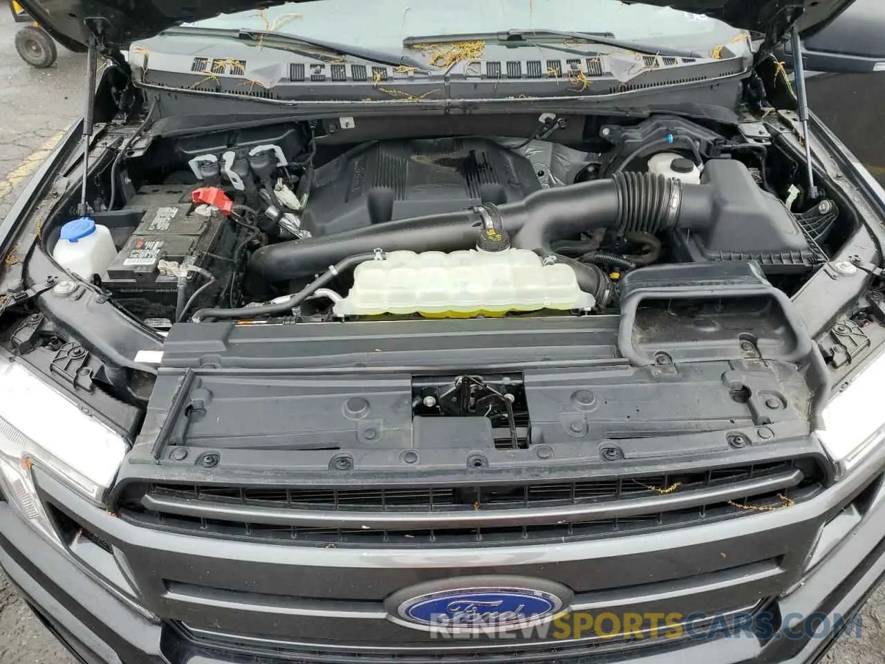 11 Photograph of a damaged car 1FTFX1E47LKD65033 FORD F-150 2020
