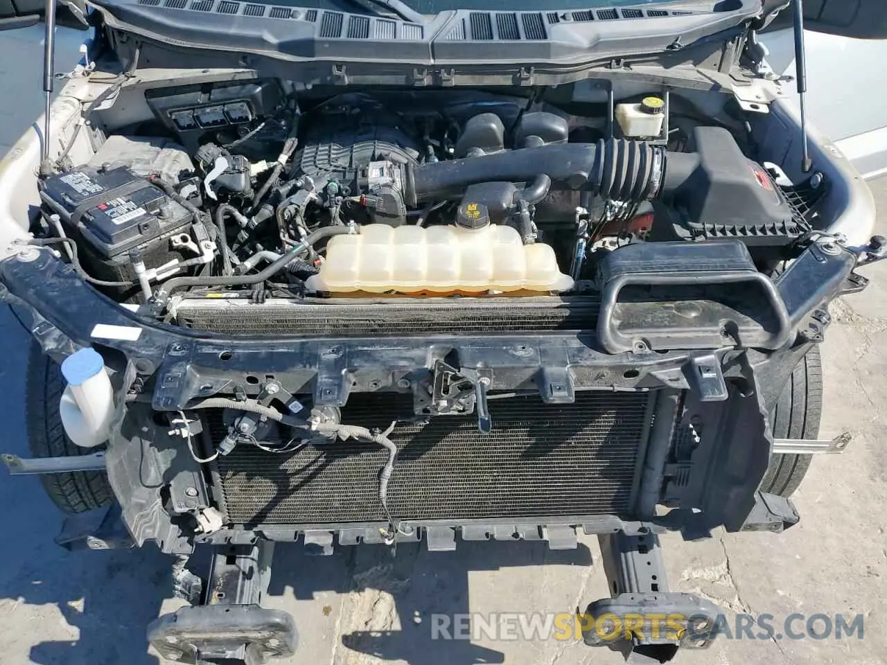 12 Photograph of a damaged car 1FTEW1CB1MKD65062 FORD F-150 2021
