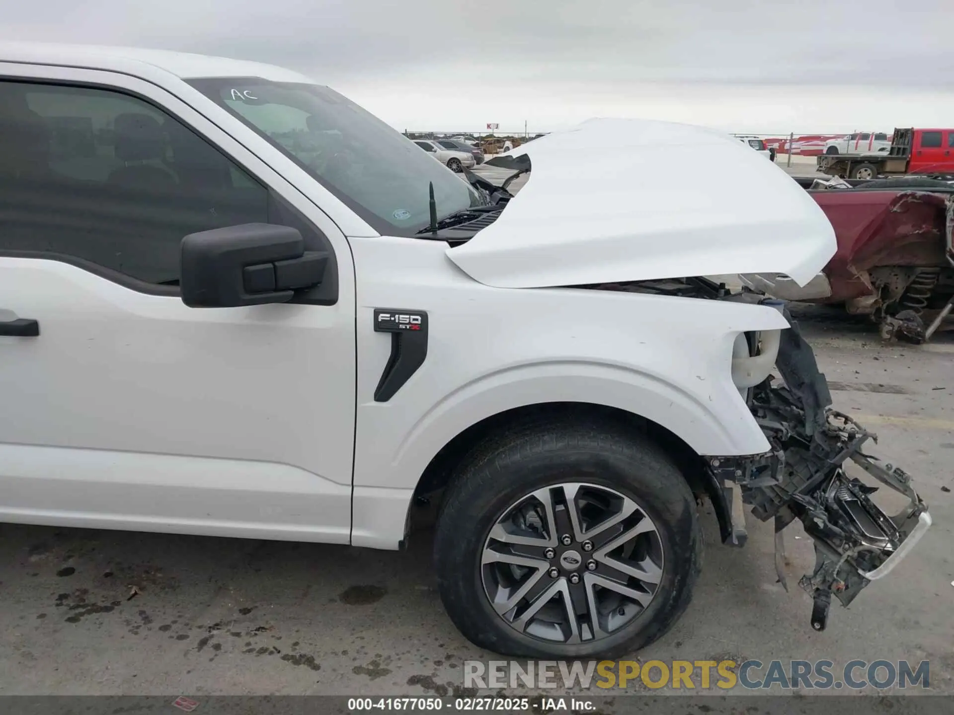 19 Photograph of a damaged car 1FTEW1CP8MKE88451 FORD F-150 2021