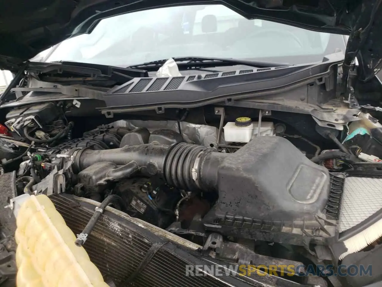 13 Фотография поврежденного автомобиля 1FTEW1EB5MFA08067 FORD F-150 2021