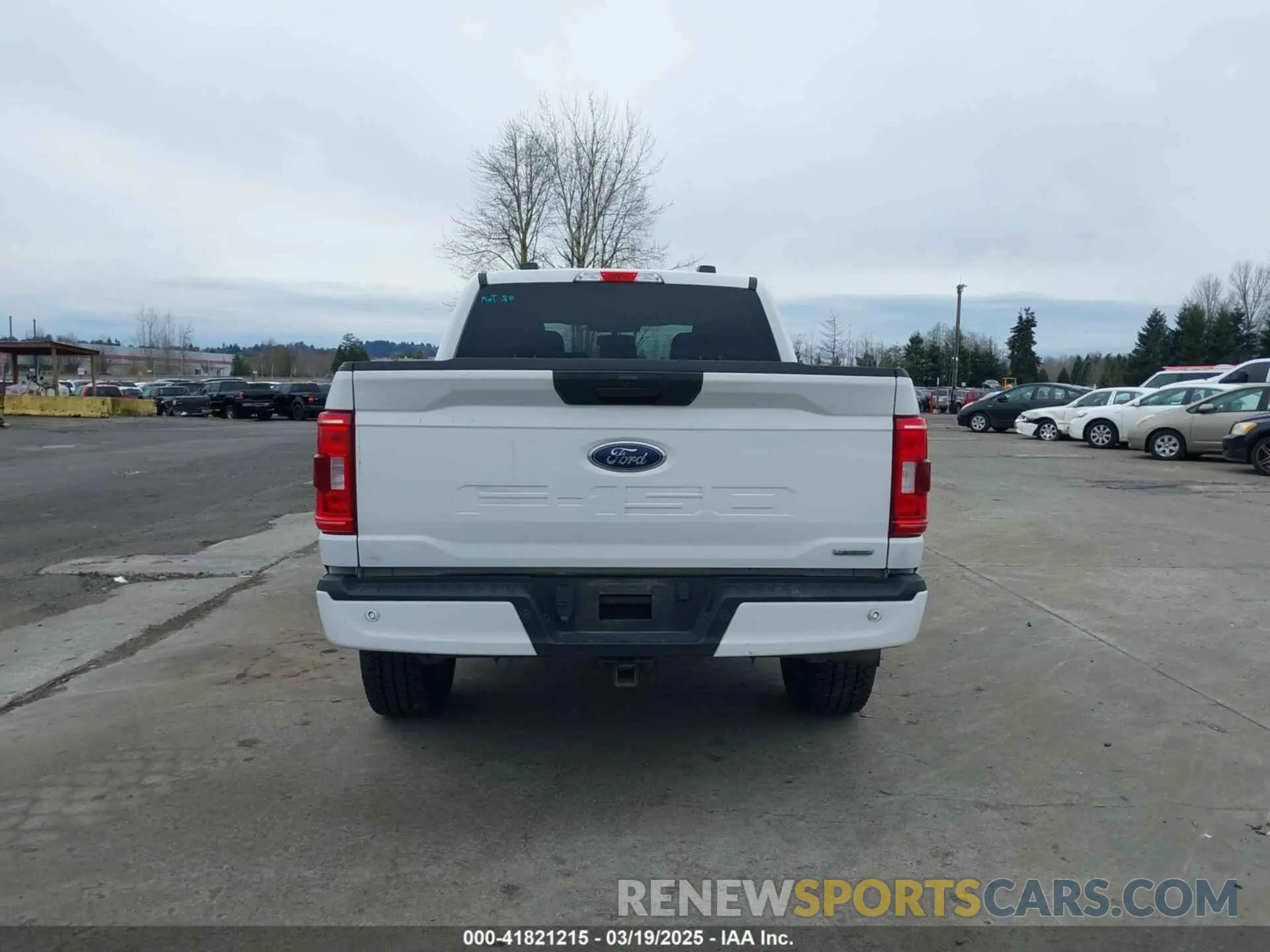 17 Фотография поврежденного автомобиля 1FTEW1EP3MFC51453 FORD F-150 2021