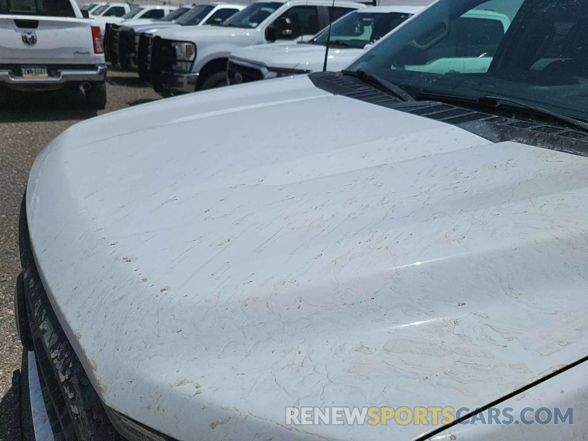 20 Photograph of a damaged car 1FTEW1EPXMKE69753 FORD F-150 2021