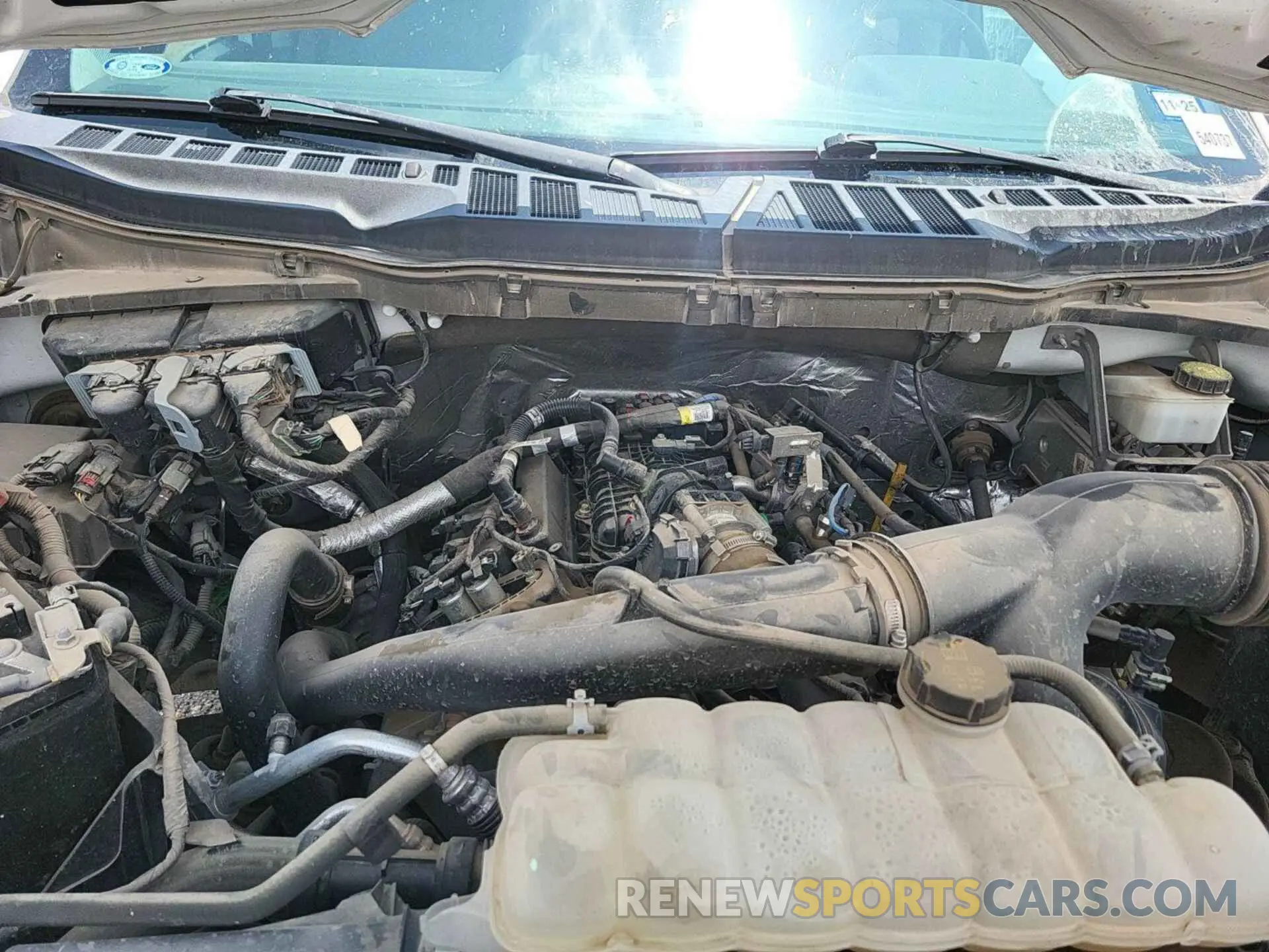 5 Photograph of a damaged car 1FTEW1EPXMKE69753 FORD F-150 2021