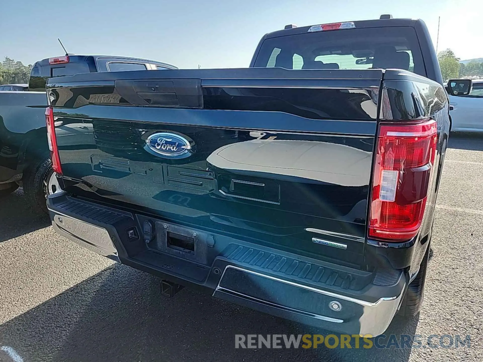 13 Photograph of a damaged car 1FTEX1EP0MKD86071 FORD F-150 2021