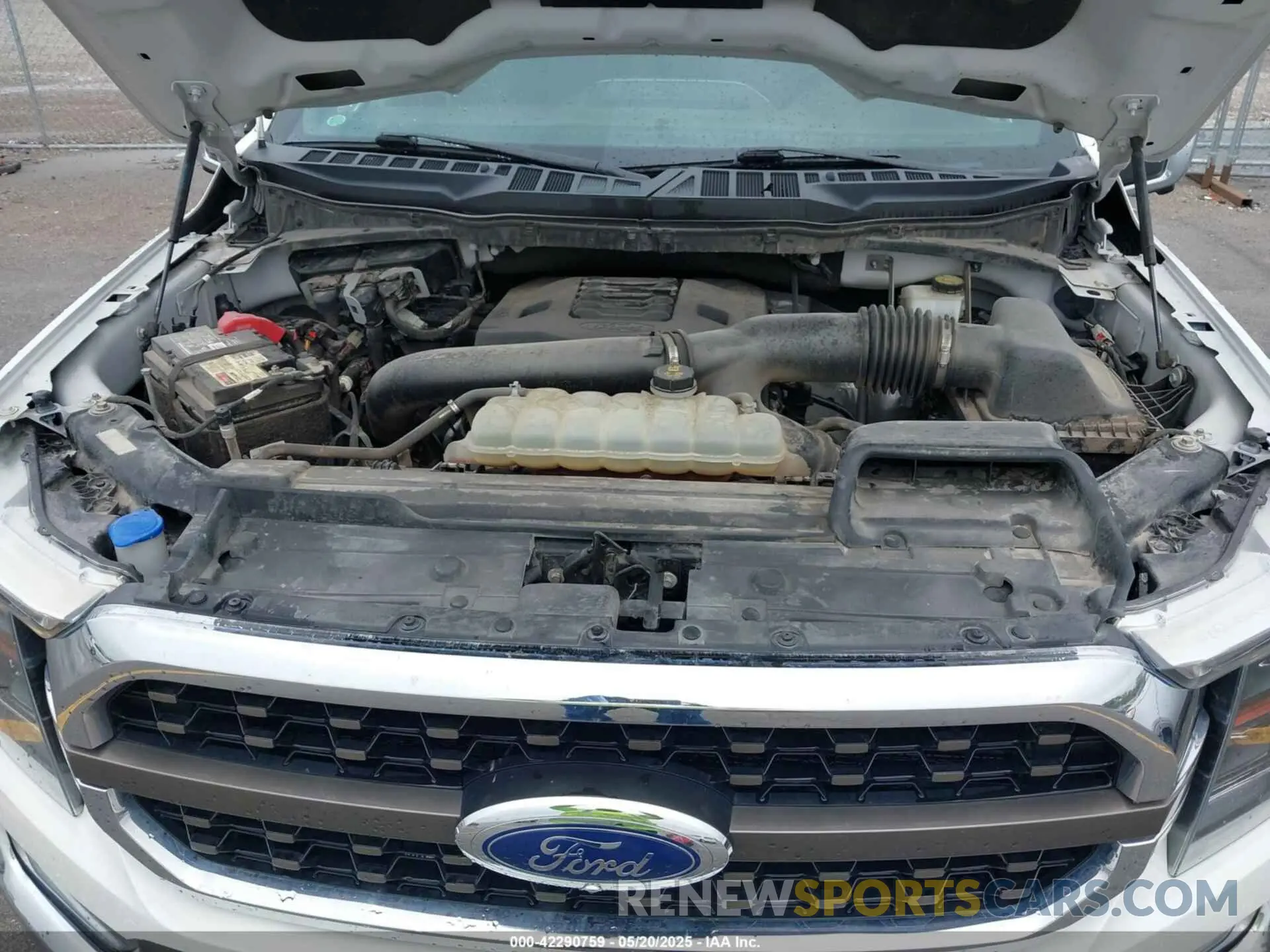 10 Photograph of a damaged car 1FTFW1E81MFA33895 FORD F-150 2021