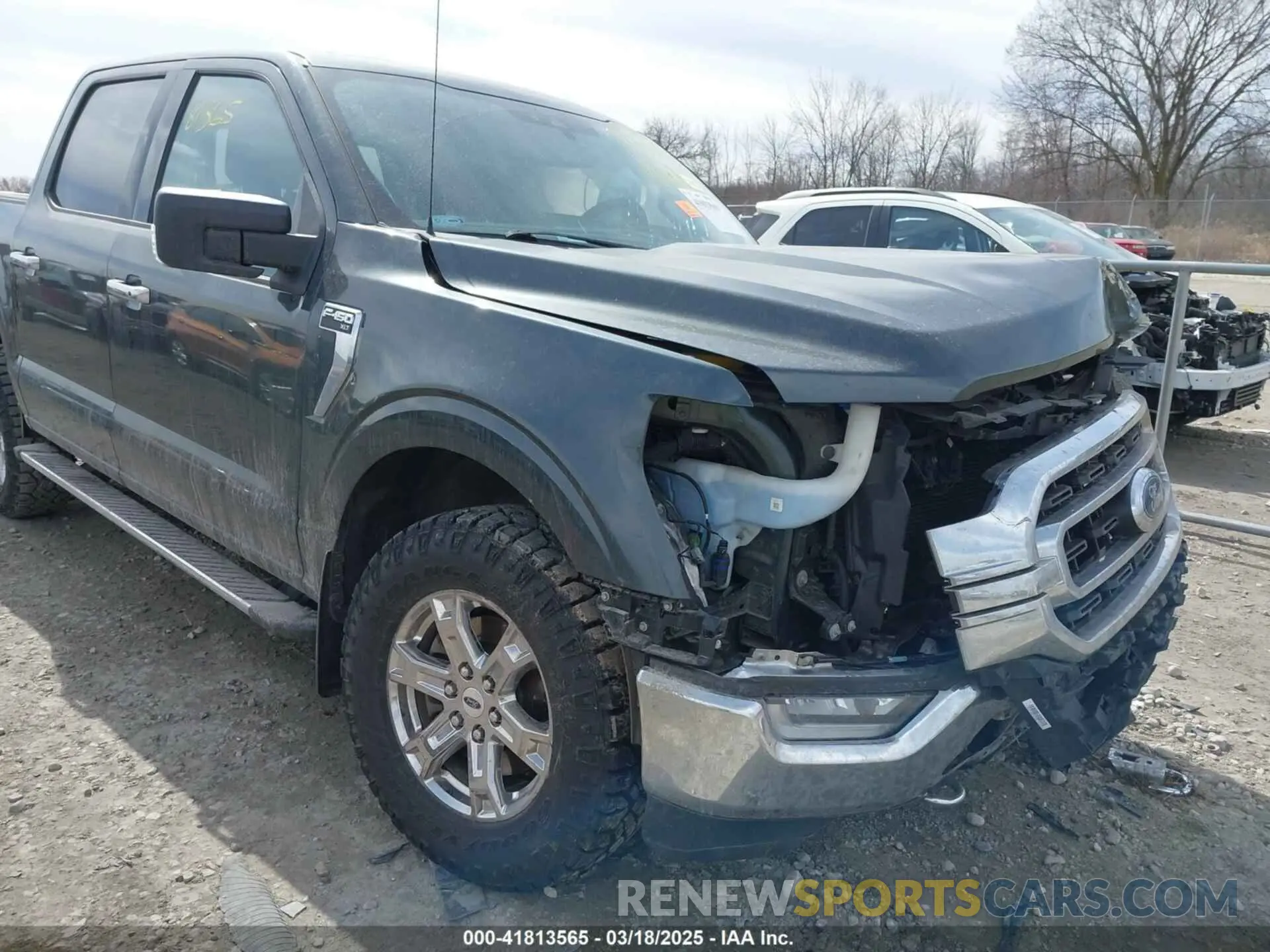13 Photograph of a damaged car 1FTFW1E86MKD80565 FORD F-150 2021