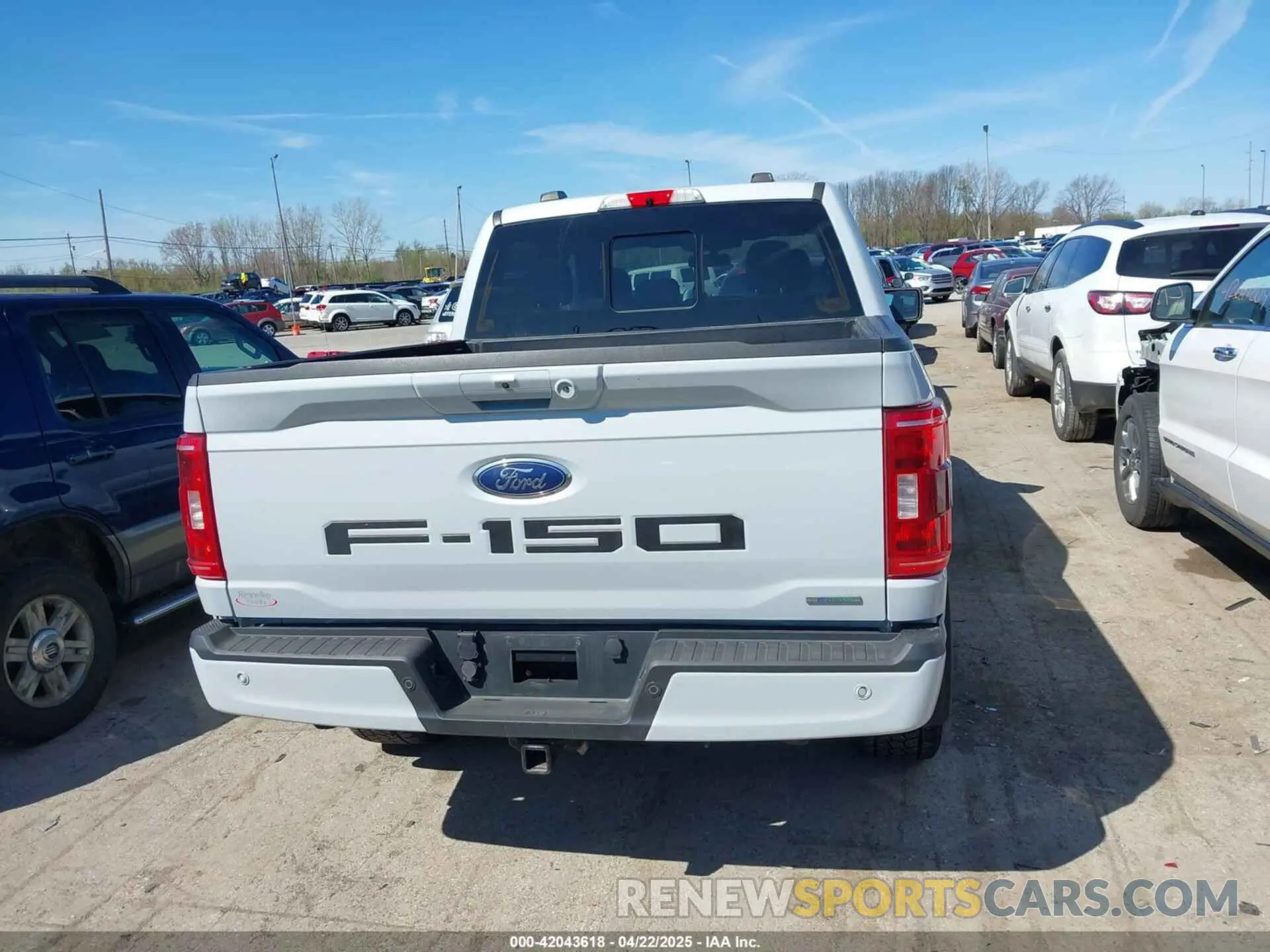 16 Фотография поврежденного автомобиля 1FTFW1E86MKE22491 FORD F-150 2021