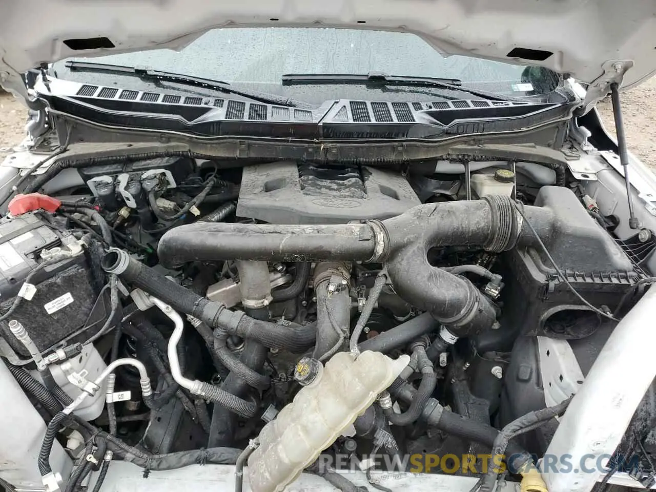 11 Photograph of a damaged car 1FTFW1E89MFB64024 FORD F-150 2021